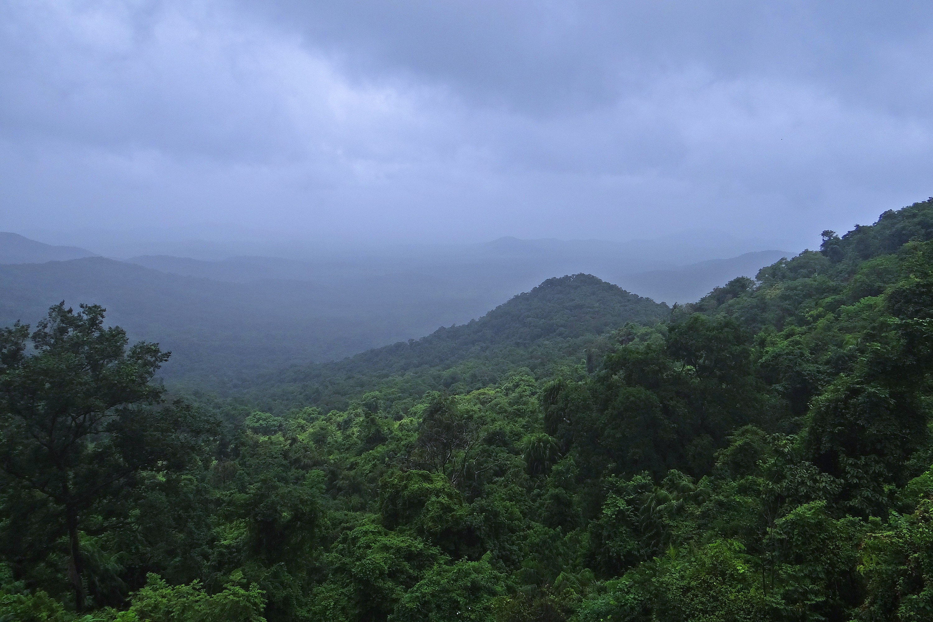 lush foliage, no people, western ghats, environment, goa, cloud - sky, clouds, mountain, forest, vegetation, scenics - nature, green color, non-urban scene, HD Wallpaper