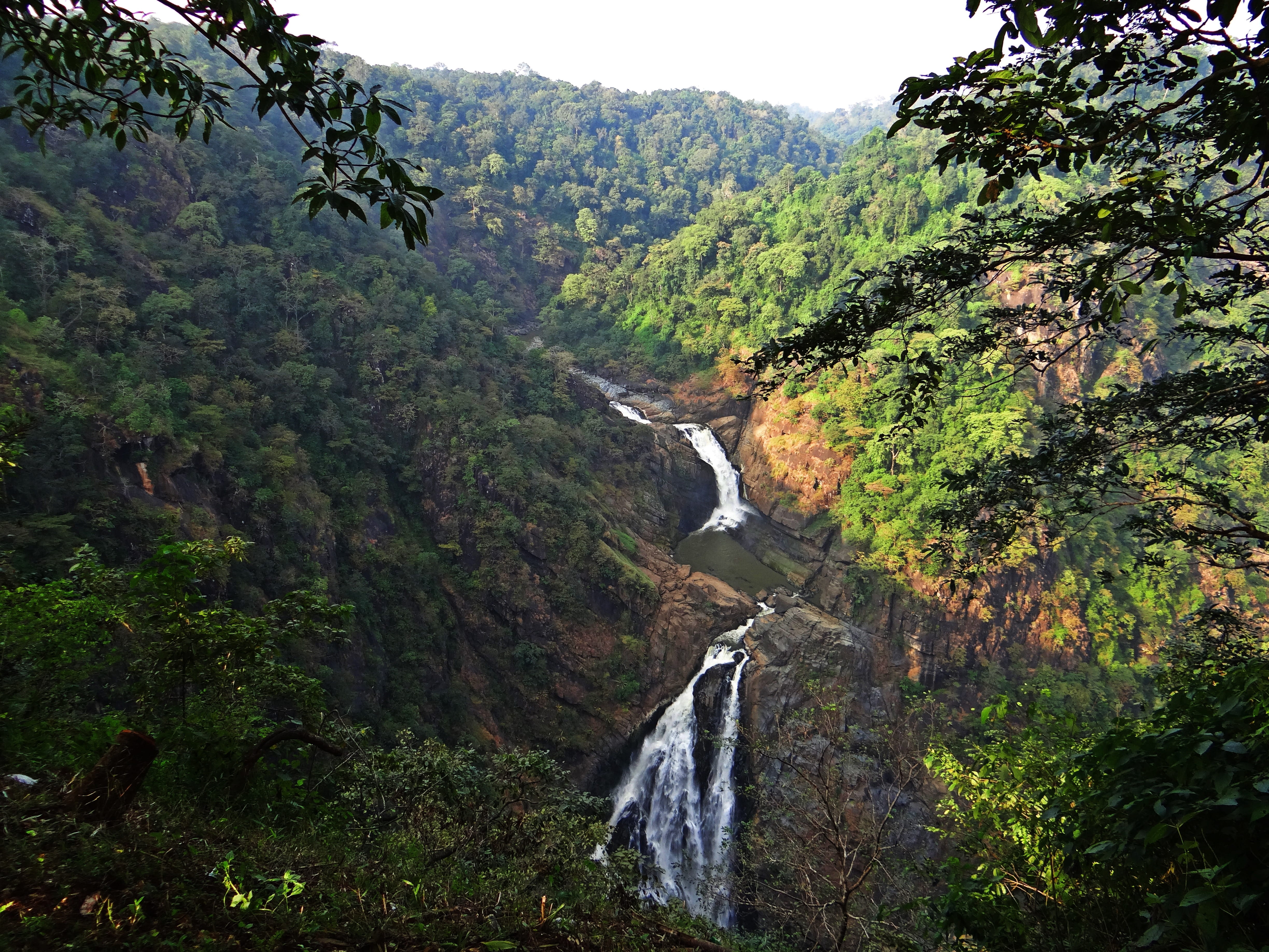 waterfall, nature, rainforest, non-urban scene, environment, cascades, no people, flowing water, india, tree, beauty in nature, green color, magod falls, HD Wallpaper