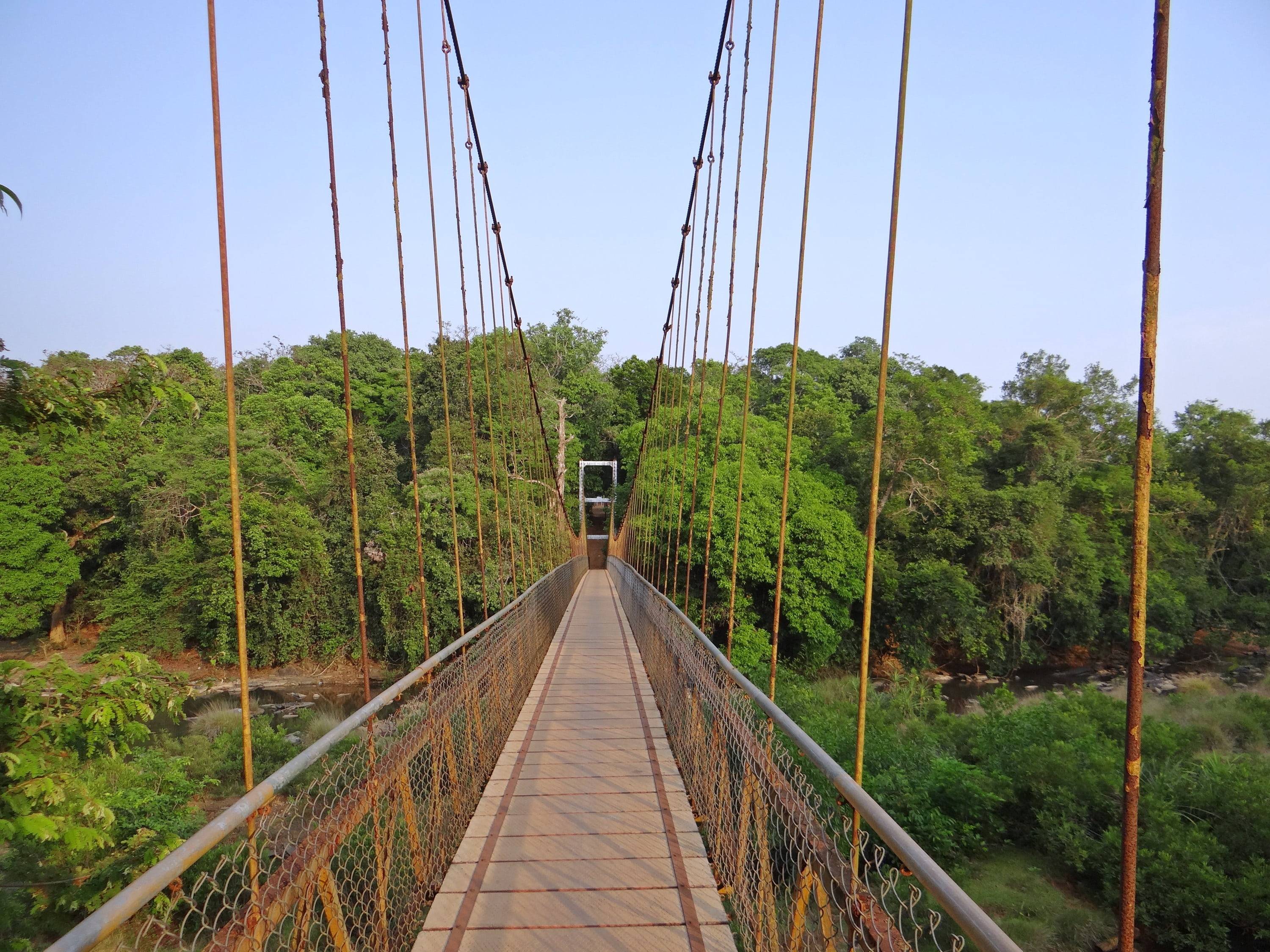 no people, technology, india, connection, tree, cable, nature, bridge - Man Made Structure, travel, river, hanging, suspended, direction, suspension Bridge, HD Wallpaper