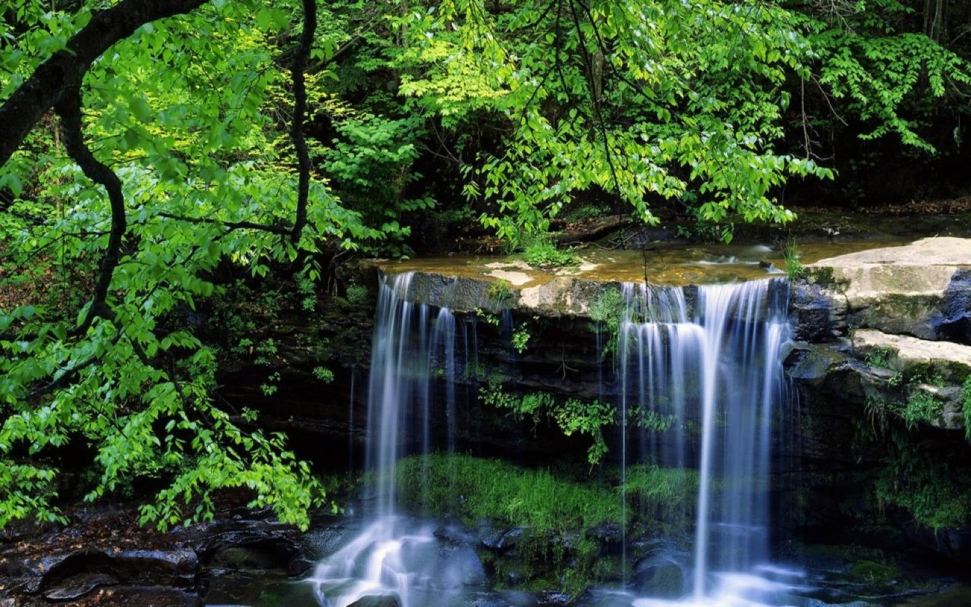 river, tree, mountain, small, 1080P, nature, falls, karpessto, virginia, bed, resolution, high, HD Wallpaper