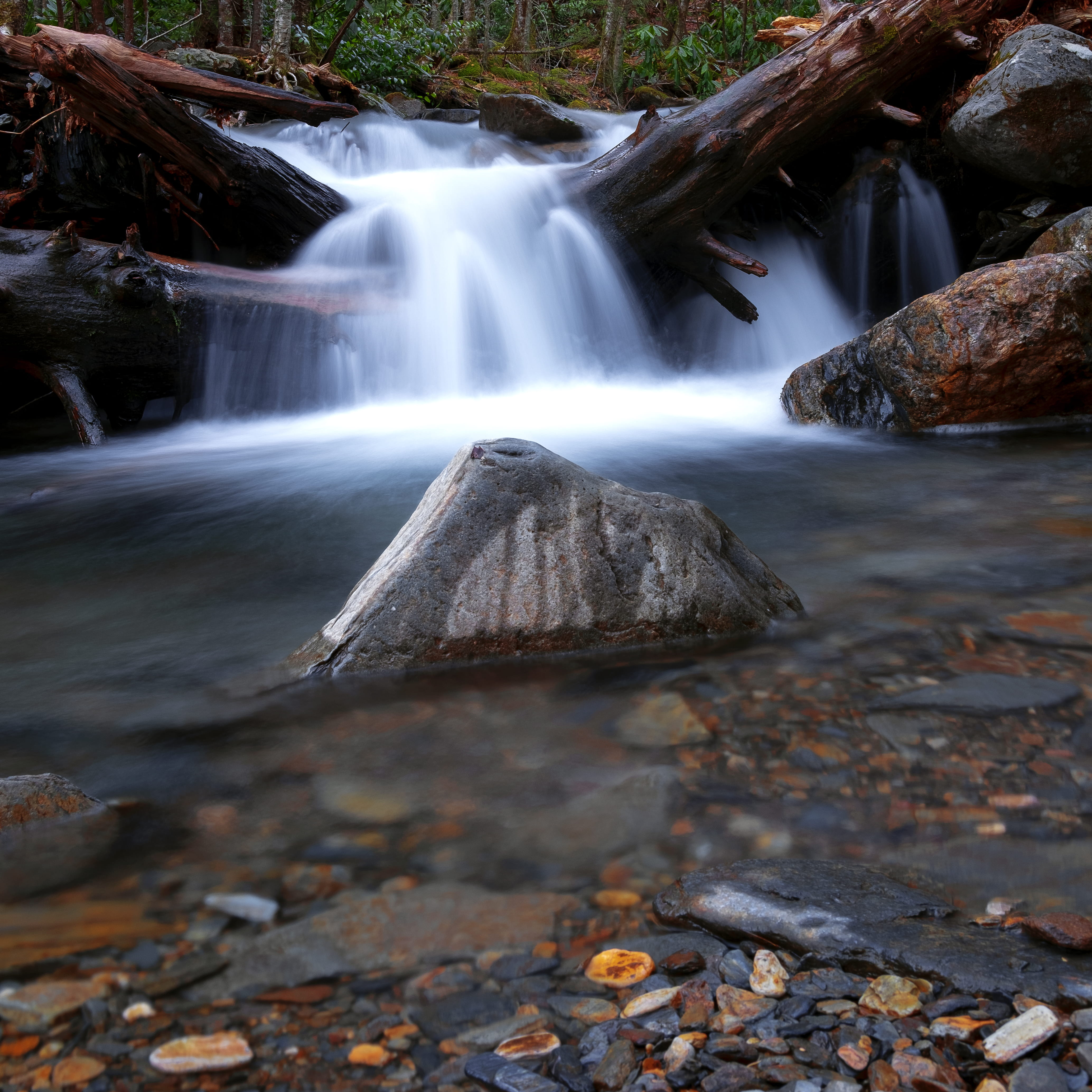 visit tennessee, land, rock, stream, rainforest, lapse, day, alum, steam, blurred motion, smokey mountain national park, beauty in nature, alum cave trail, Phone HD Wallpaper