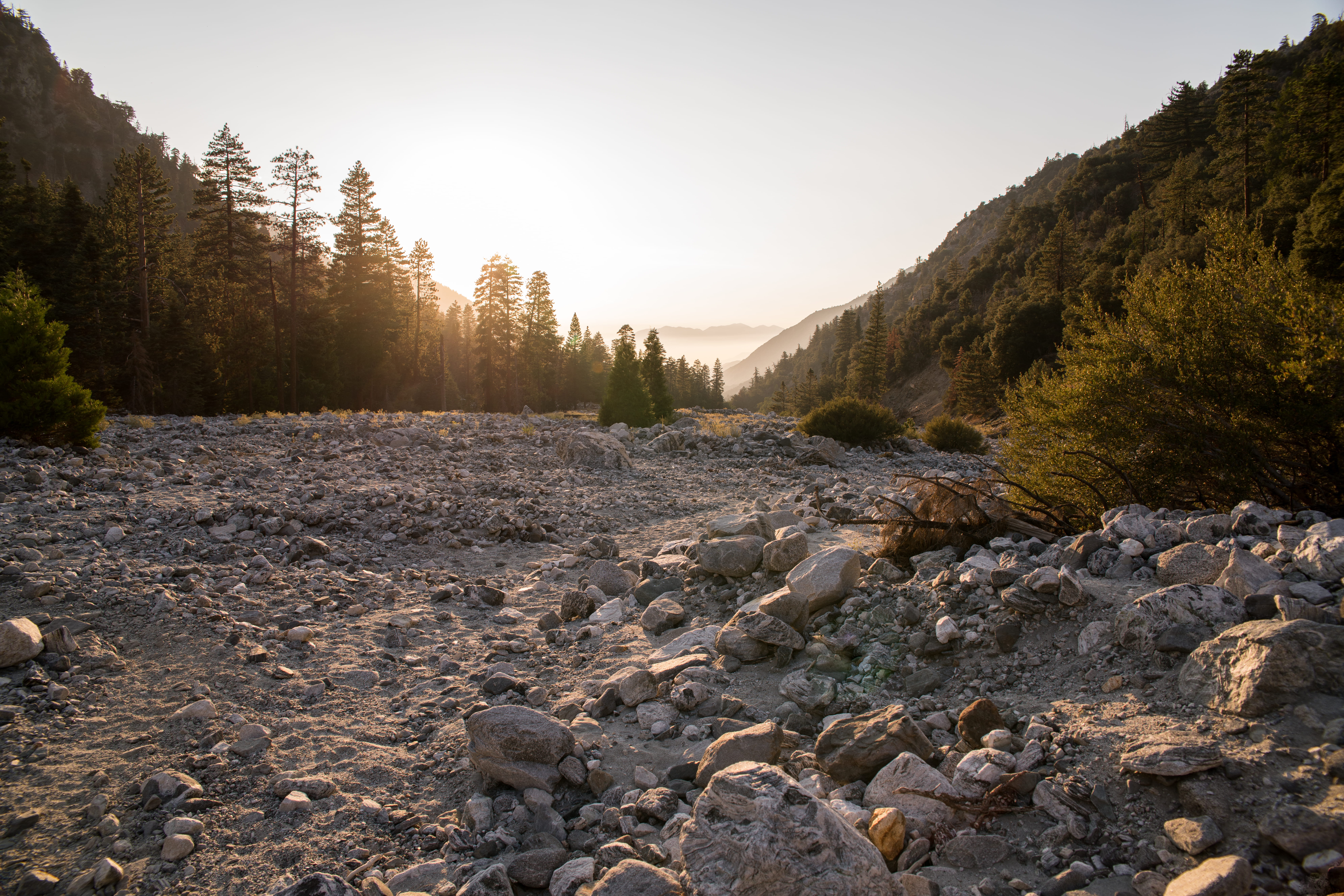 idyllic, rock, life, wild, water, happy, tree, trees, non-urban scene, land, people, plant, united states, vista, live, day, river bed, outside, tranquility, HD Wallpaper