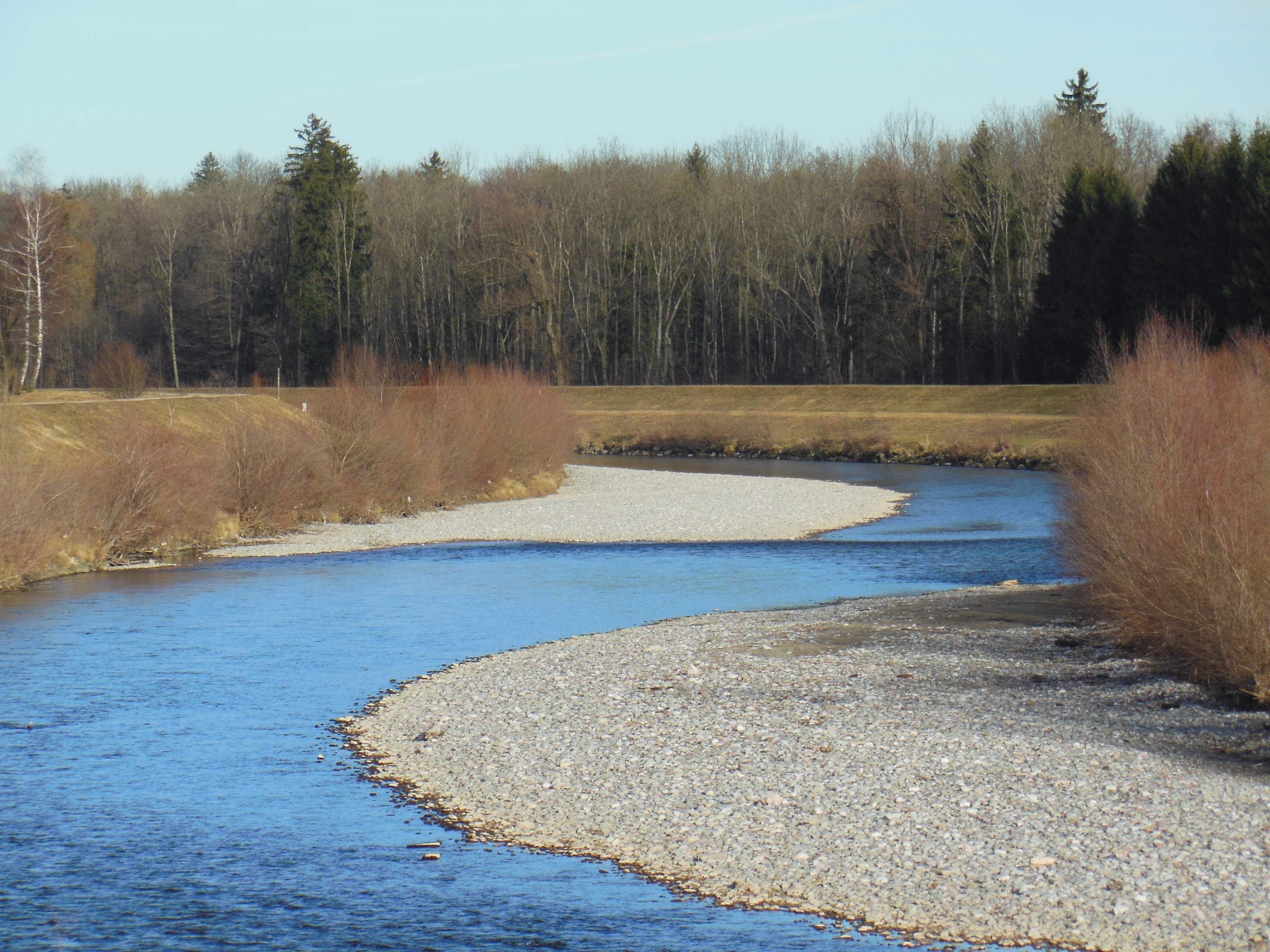 lake, river, spring, grass, nature, water, no people, land, beauty in nature, forest, gravel bed, outdoors, non-urban scene, tranquility, sky, tree, gravel bank, HD Wallpaper
