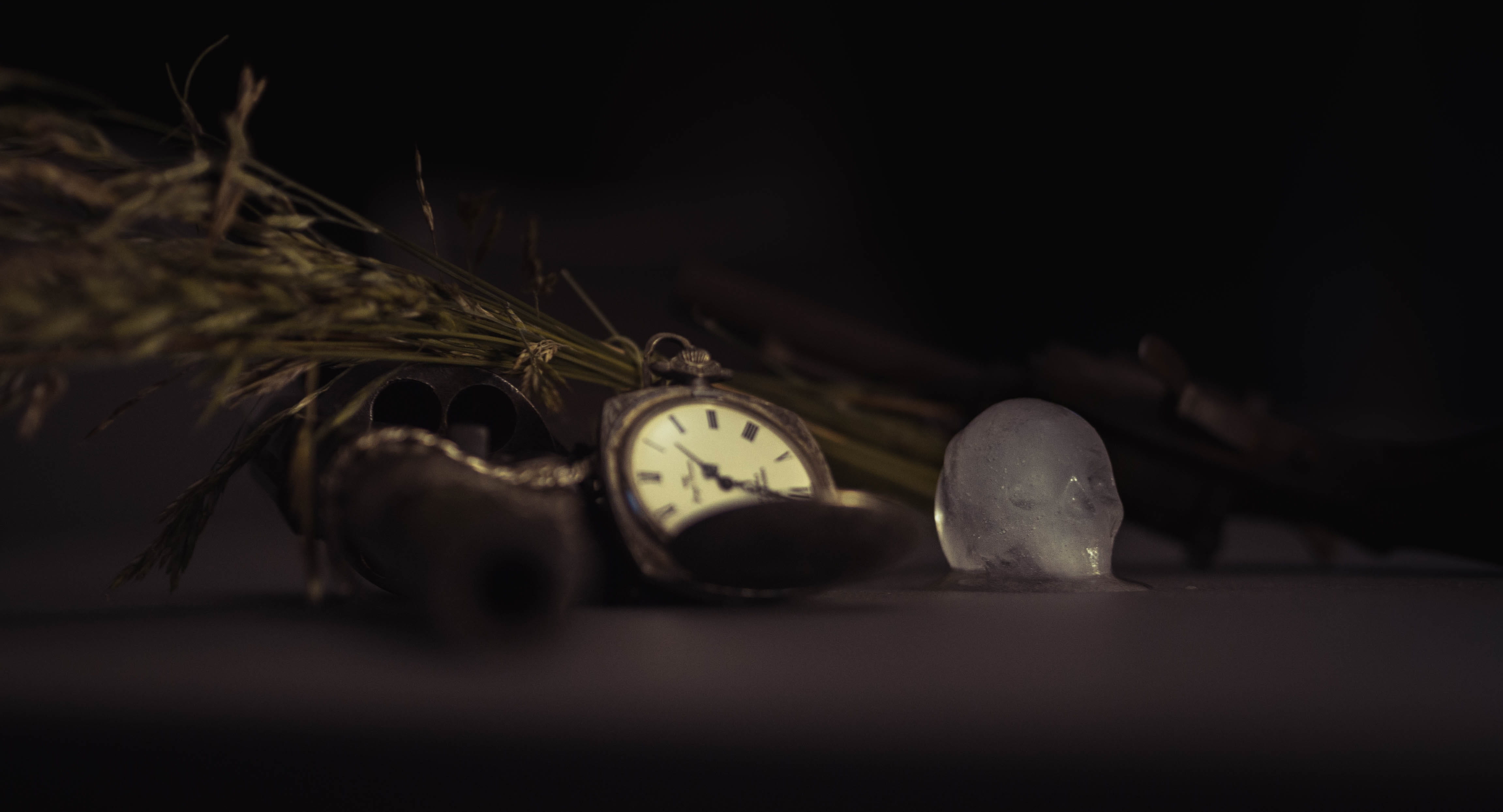 studio shot, challenge, dark, far west, skull, clock face, stilllife, grass, guns, clock, tree, black background, still life, life, minute hand, HD Wallpaper