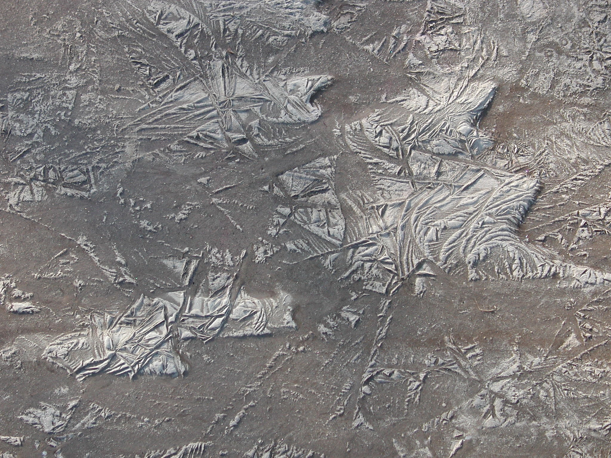 architecture, close-up, representation, animal representation, history, 1080P, cold, backgrounds, ice, frozen, textured, ice pattern, cold temperature, HD Wallpaper