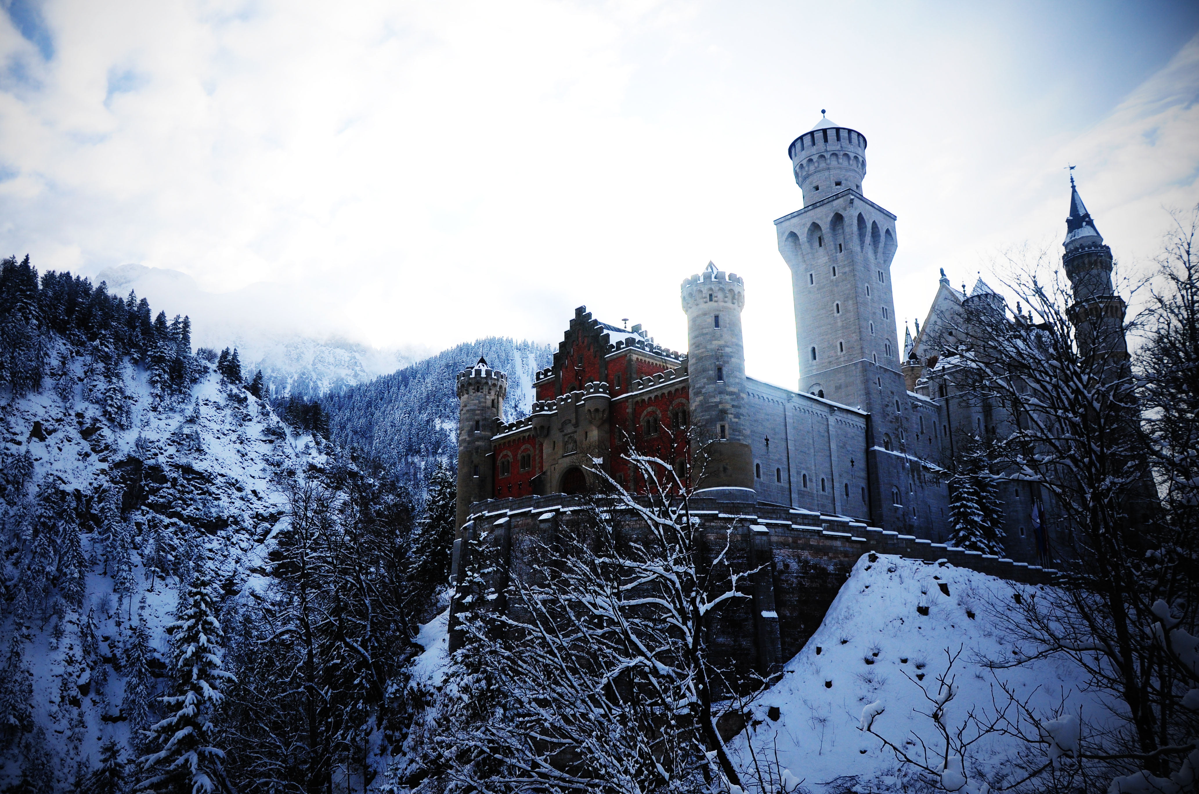 4K, mountain, old, castle, europe, building exterior, nature, medieval, Bayern, religion, forest, famous Place, architecture, plant, frozen, cultures, HD Wallpaper