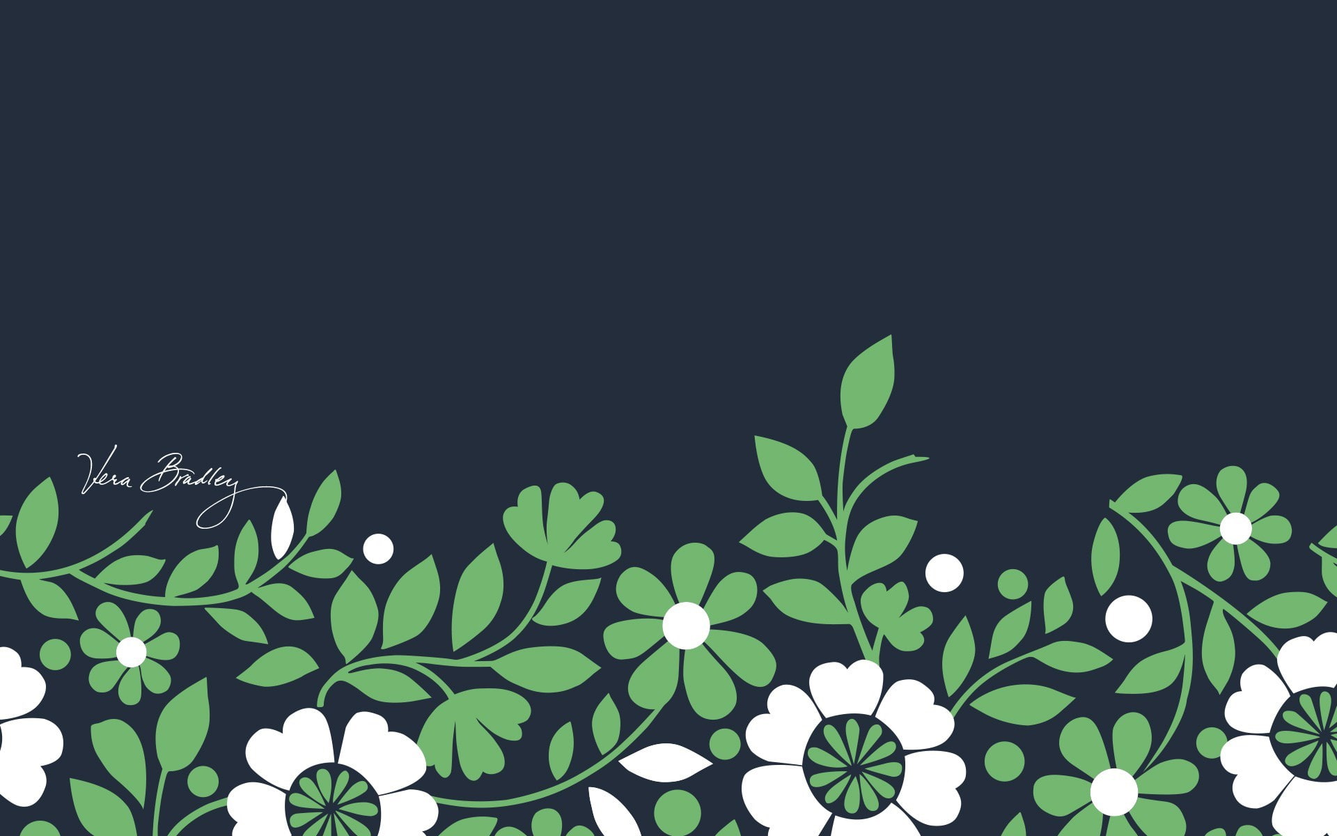 lighting equipment, 1080P, illuminated, black background, copy space, studio shot, plant, growth, creativity, clear sky, leaf, plant part, floral pattern, HD Wallpaper
