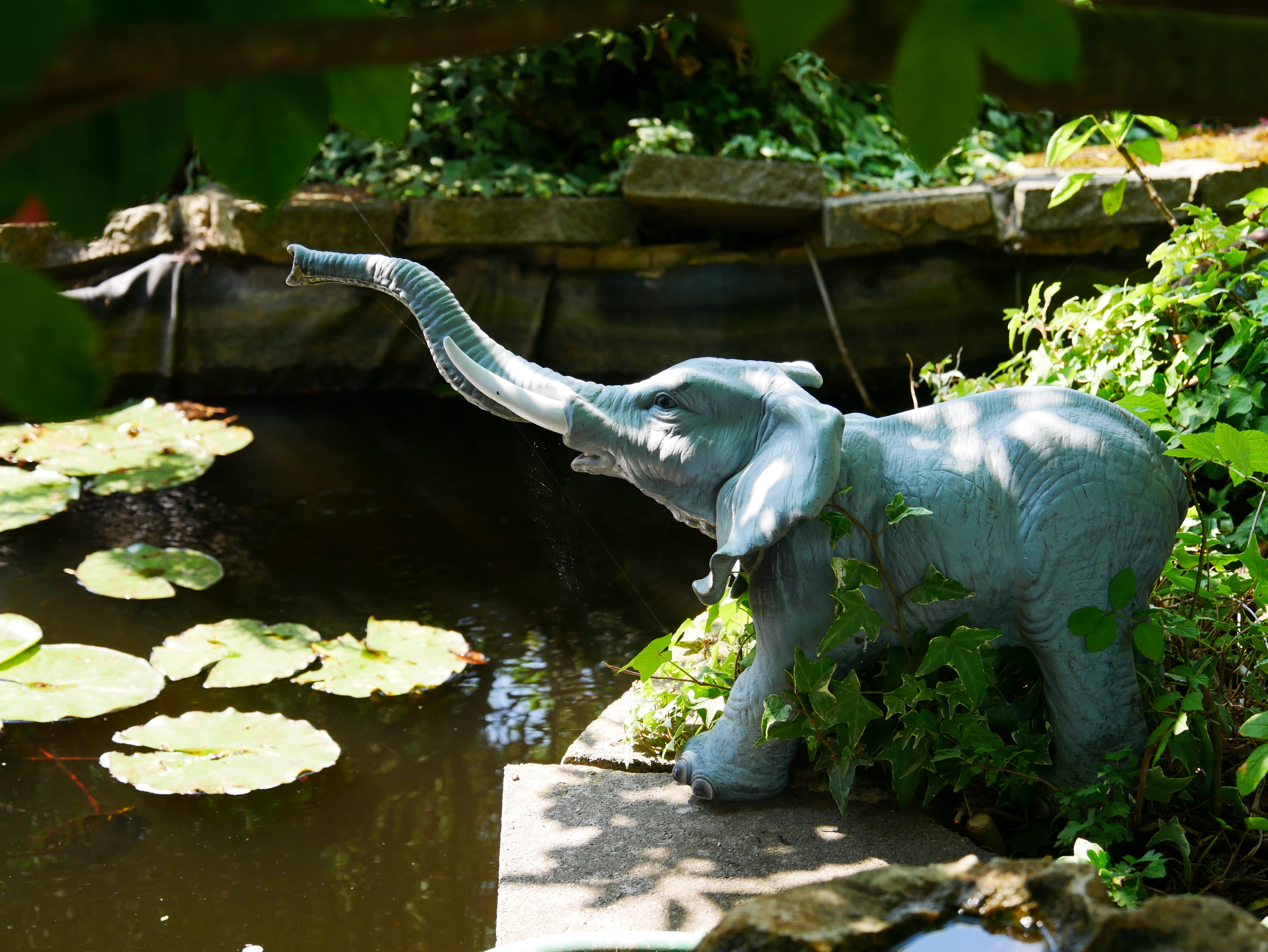 statue, representation, human representation, outdoors, plant, pond, no people, nature, radlett, elephant, peace, day, united kingdom, creativity, spiritual, HD Wallpaper
