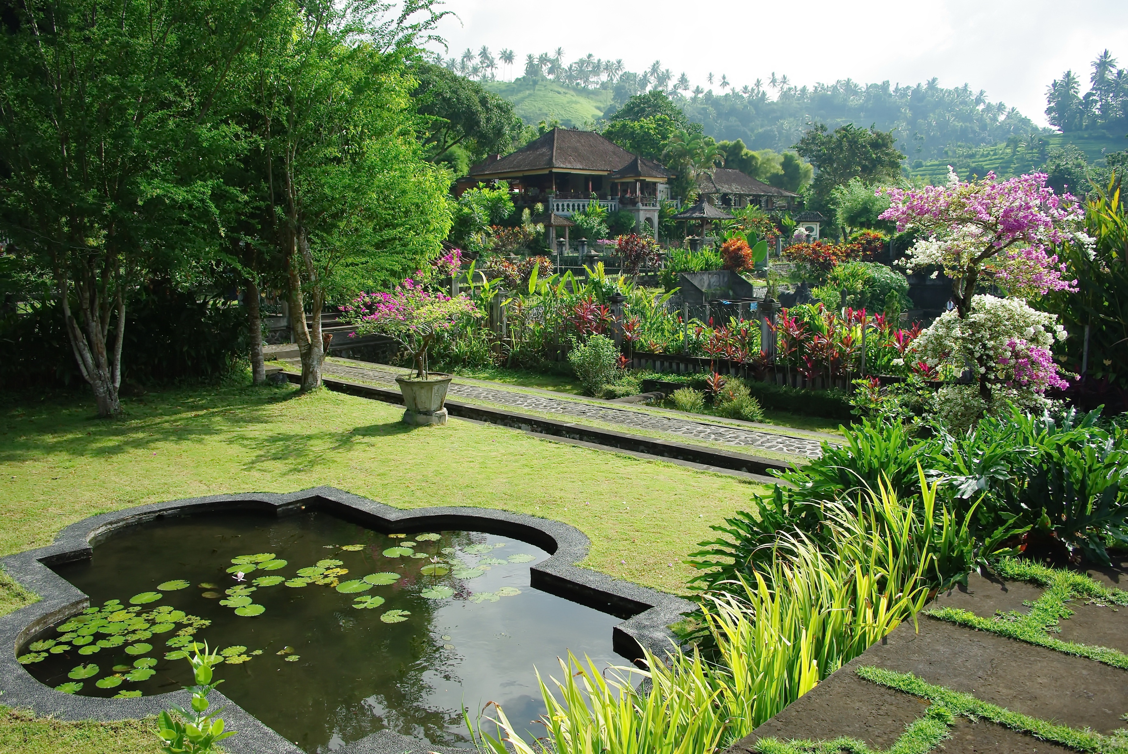 ornamental garden, architecture, 2K, outdoors, nature, park, basin, water, tree, formal garden, beauty in nature, bali, building exterior, park - man made space, HD Wallpaper