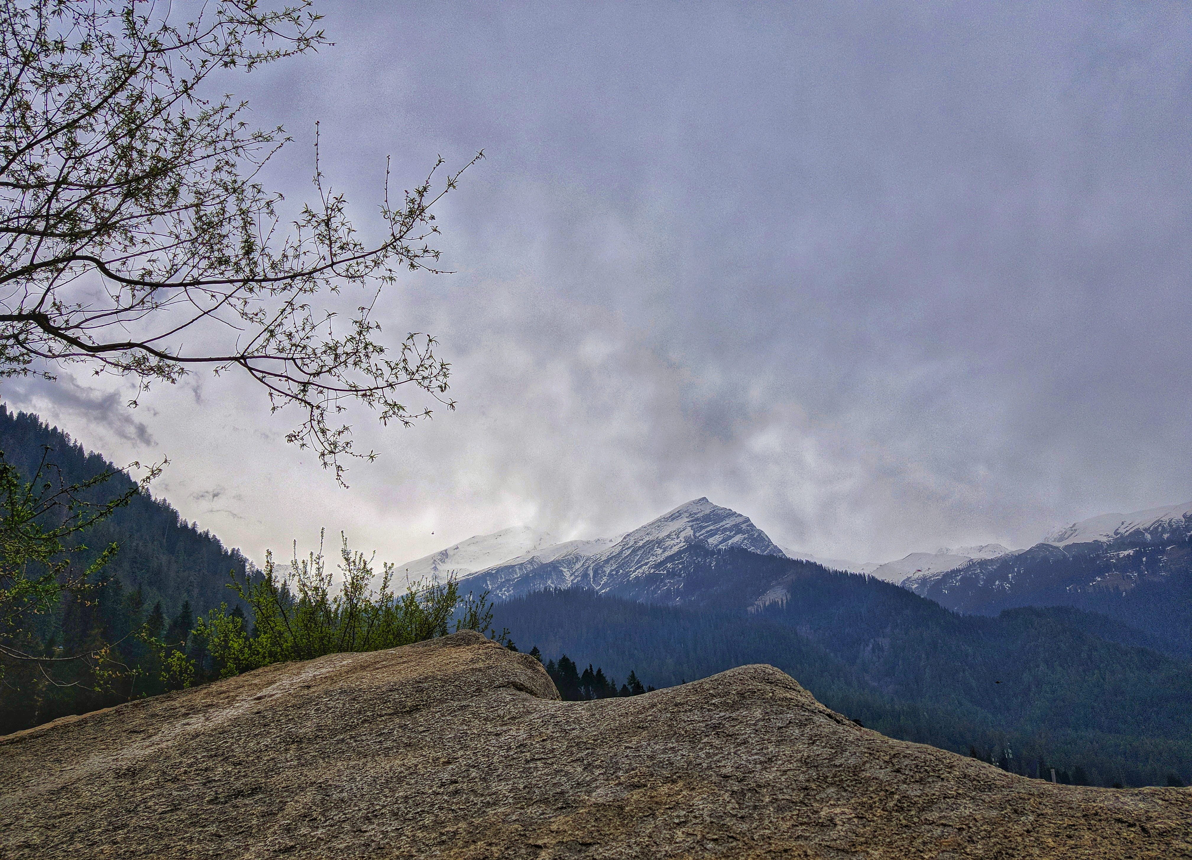 khir ganga, plant, outdoors, environment, sky, tree, mountain range, kheerganga - sunshine himalayan camp, india, tranquil scene, scenics - nature, idyllic, HD Wallpaper
