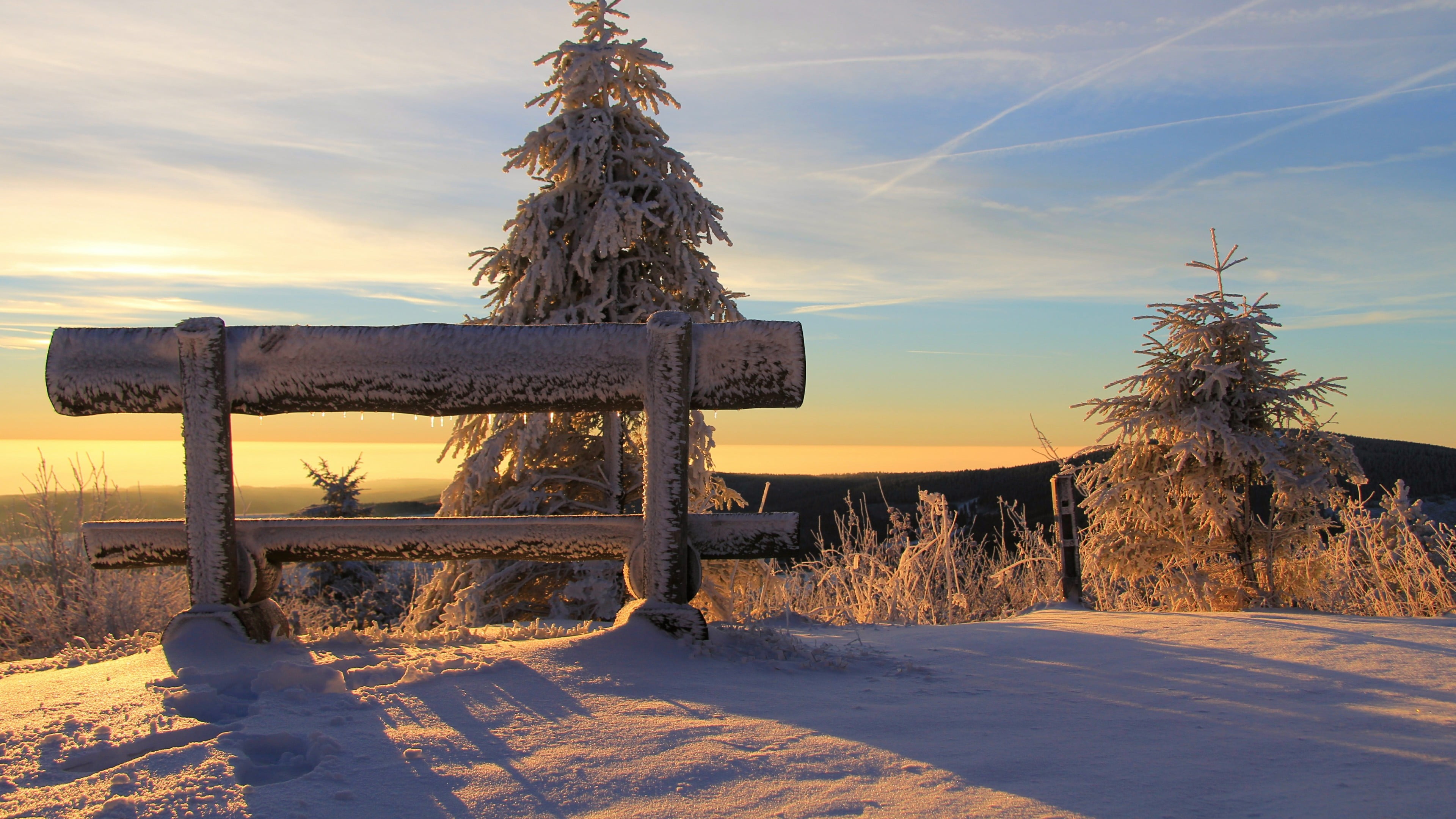 calm, 4K, cold temperature, ice, non-urban scene, tree, outdoors, land, environment, horizon, sky, no people, tranquil scene, scenics - nature, beauty in nature, HD Wallpaper