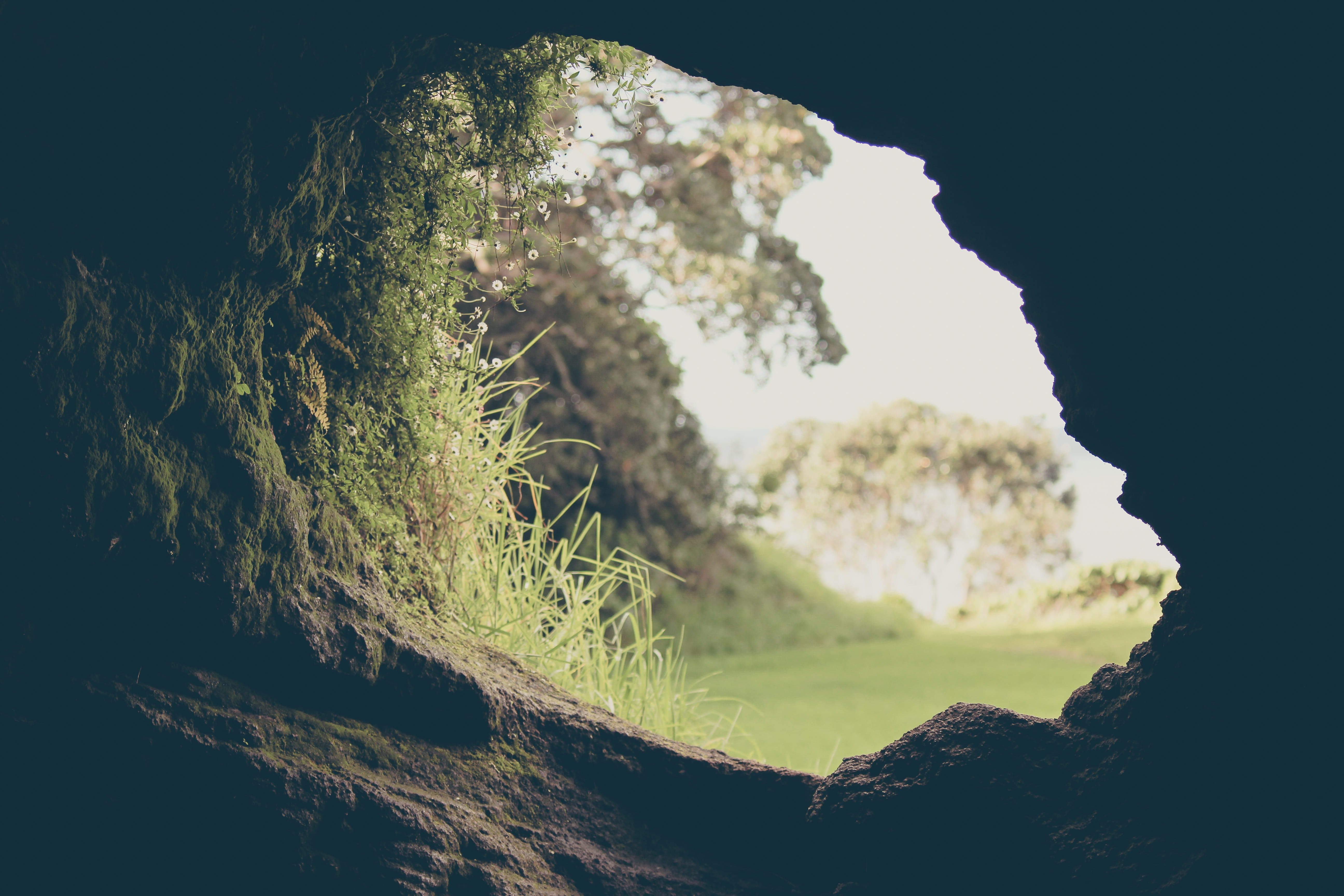 tranquility, solid, Nature, trees, tranquil scene, rock - object, tree, scenics - nature, beauty in nature, green color, sky, underground, outdoors, stone, HD Wallpaper