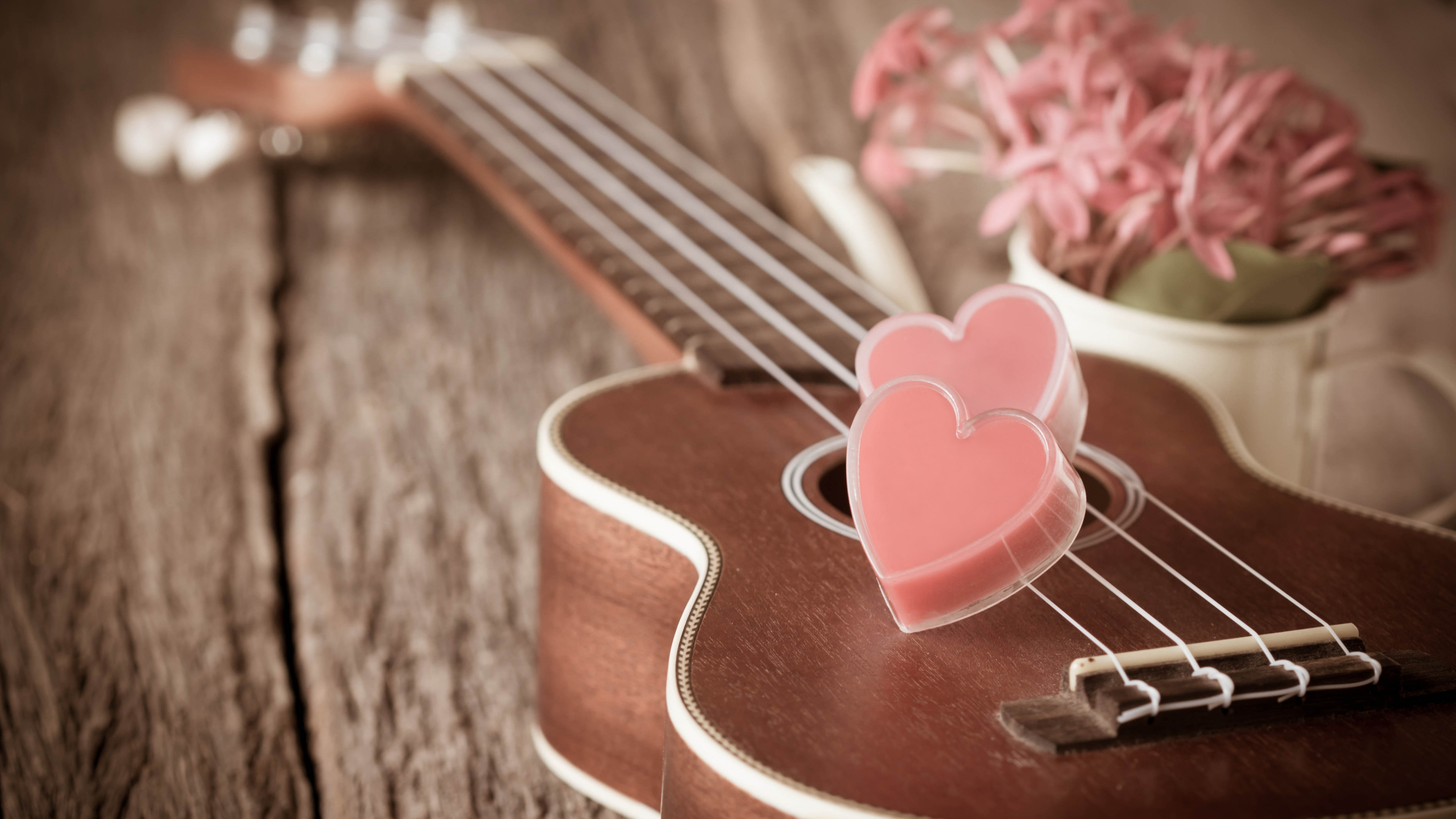 scented, photography, selective, two, pink, ukulele, soaps, Valentines Day, wooden, romantic, guitar, love, tabletop, heart, 5K, flowers, focus, brown, HD Wallpaper