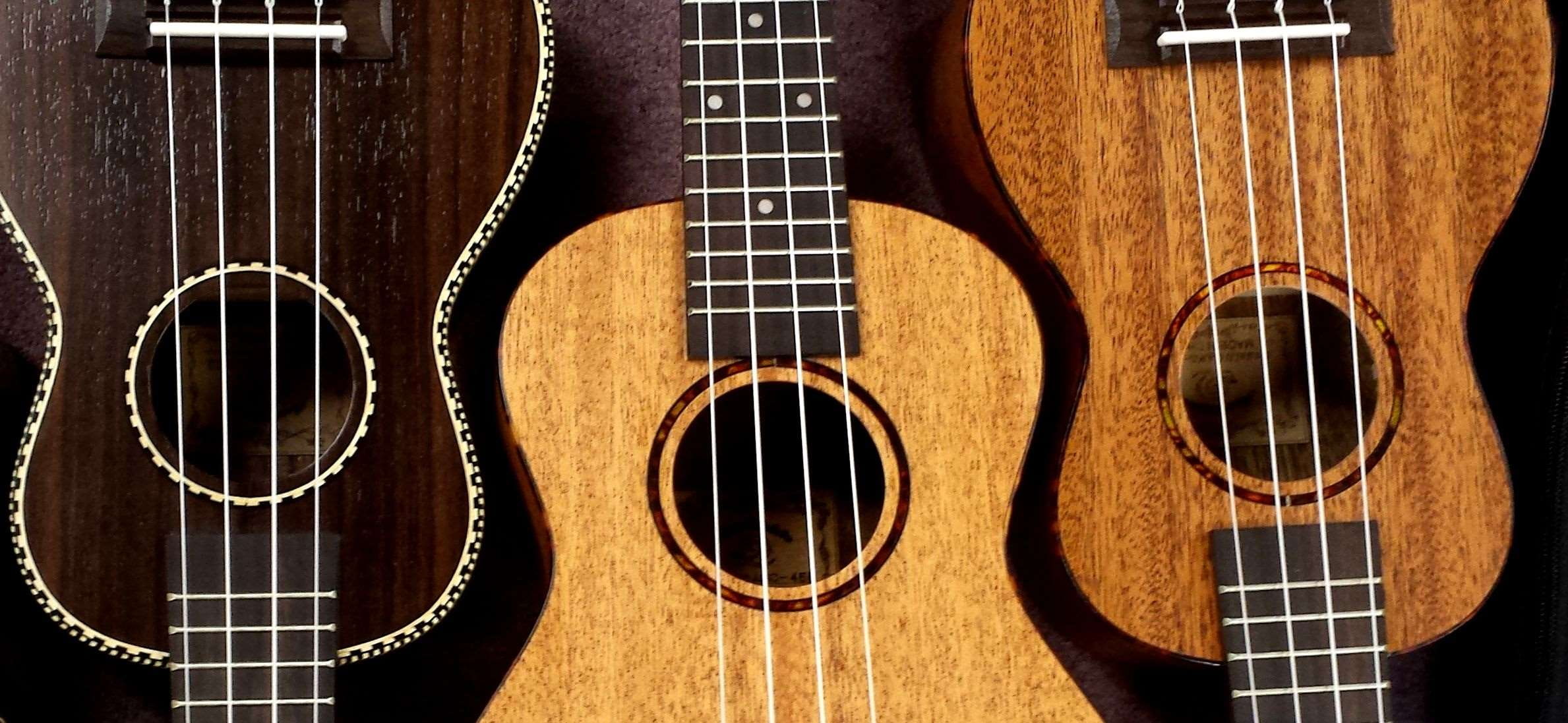 circle, in a row, violin, string instrument, guitar, acoustic, wood - material, fingerboard, classic, strings, musical equipment, traditional, geometric shape, HD Wallpaper