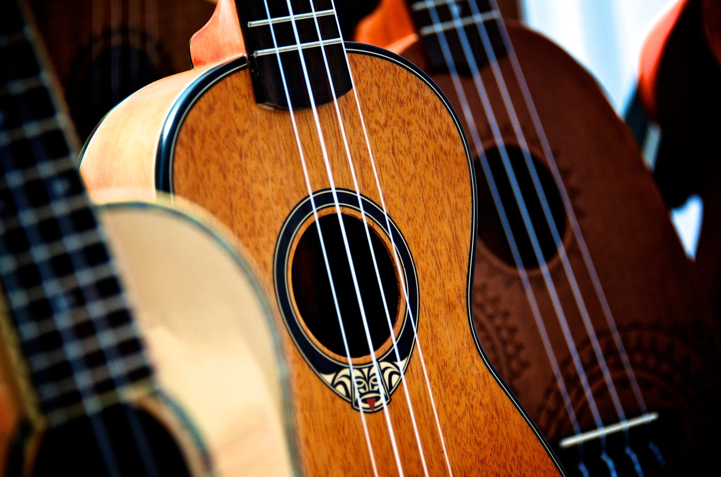 single object, ukulele, musical, indoors, no people, acoustic guitar, skill, ukuleles, musical instrument, string instrument, string, arts culture and entertainment, HD Wallpaper