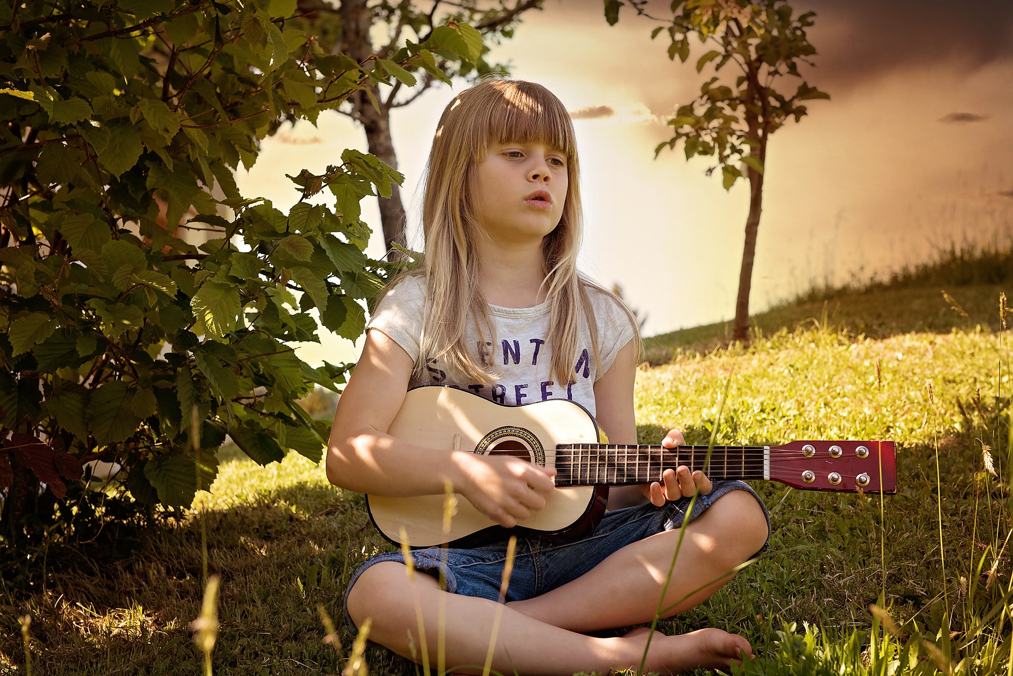 music, child, ukulele, plucking an instrument, 1080P, grass, person, bangs, women, human, holding, one person, plant, string instrument, leisure activity, HD Wallpaper