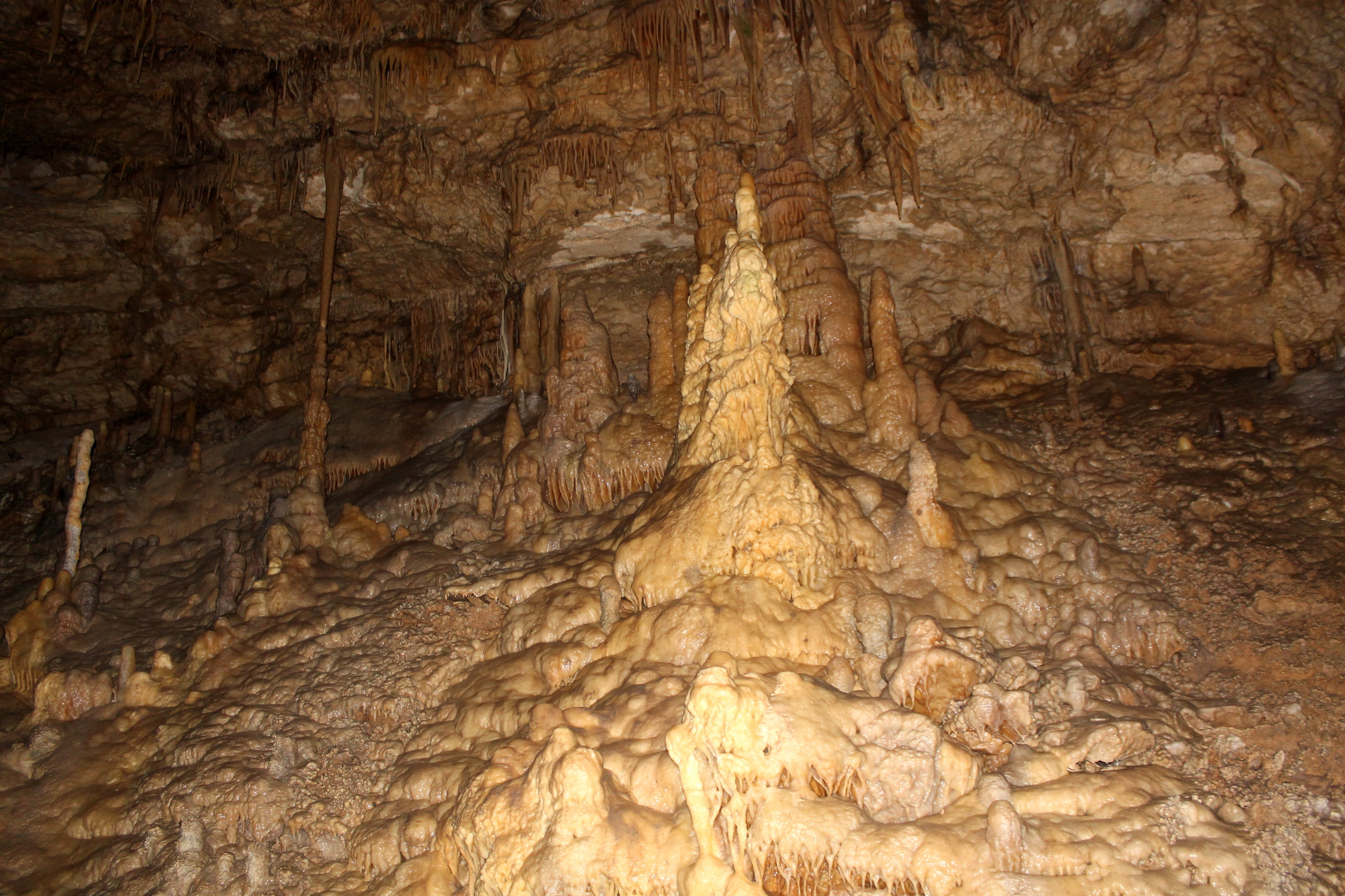 rock, day, rough, sandstone, tree, beauty in nature, excursion, natural pattern, solid, close-up, textured, rock - object, nature, stalagmites, stalactite, HD Wallpaper