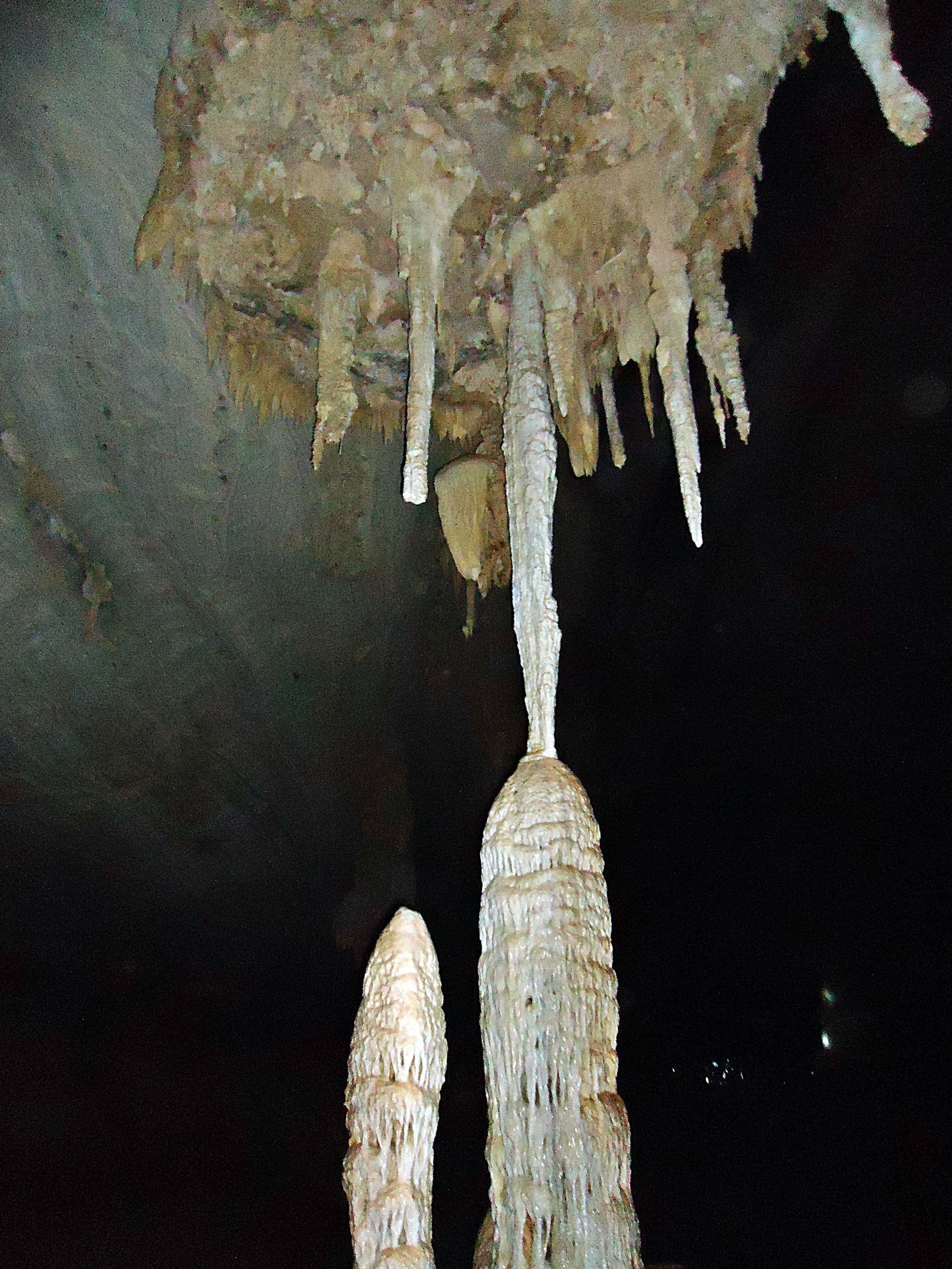 close-up, night, stalactites, plant, cold temperature, tree trunk, trunk, frozen, ceiling, tree, indoors, white color, 4K, hanging, beauty in nature, winter, Phone HD Wallpaper