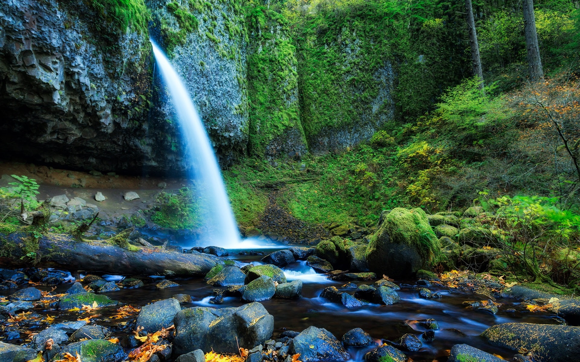 Trees, States, United, 1080P, Rocks, Waterfall, Forest, Oregon, HD Wallpaper