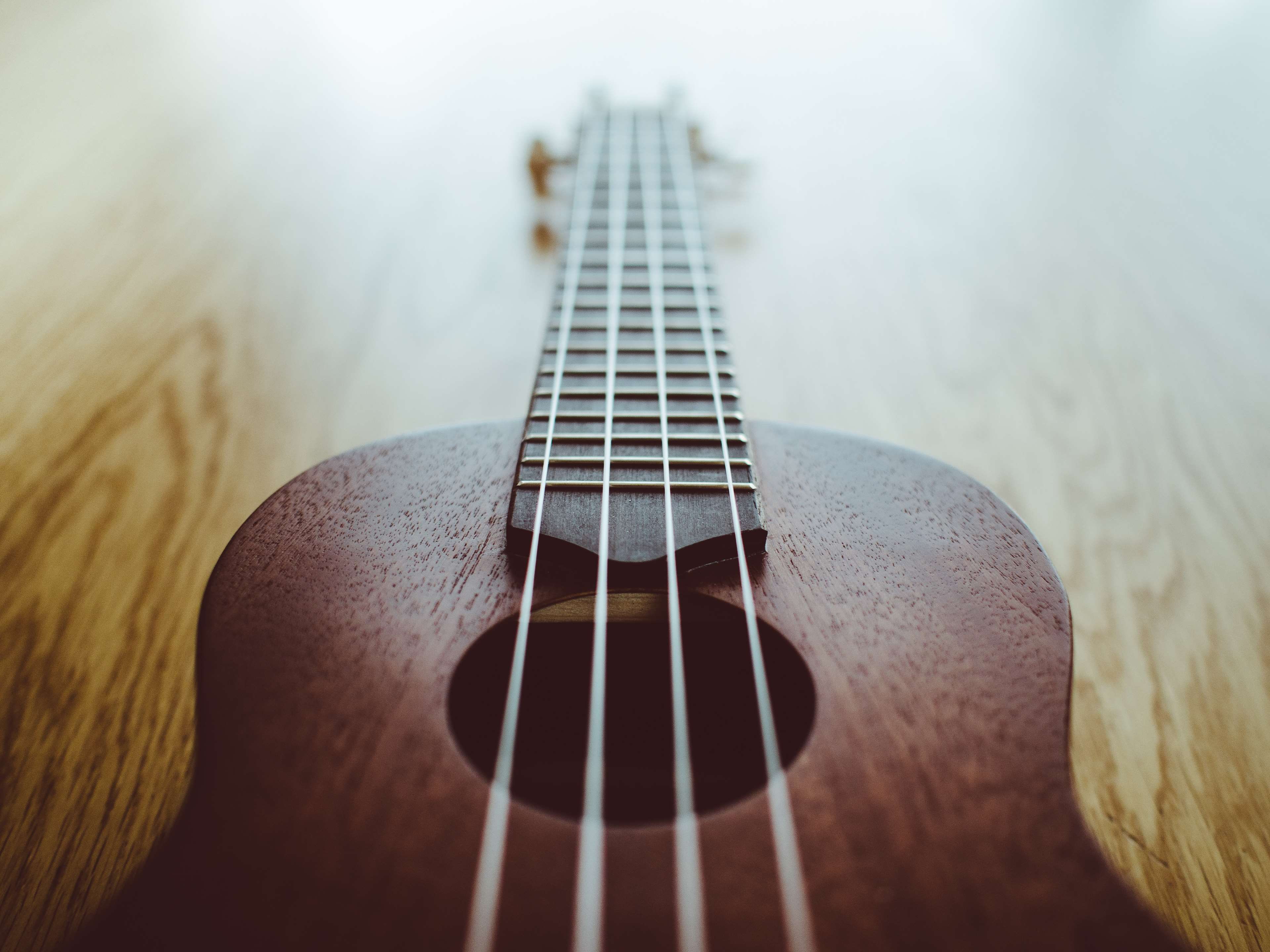 close-up, brown, string, musical instrument string, ukulele, instrument, selective focus, no people, music, acoustic guitar, still life, guitar, musical instrument, HD Wallpaper