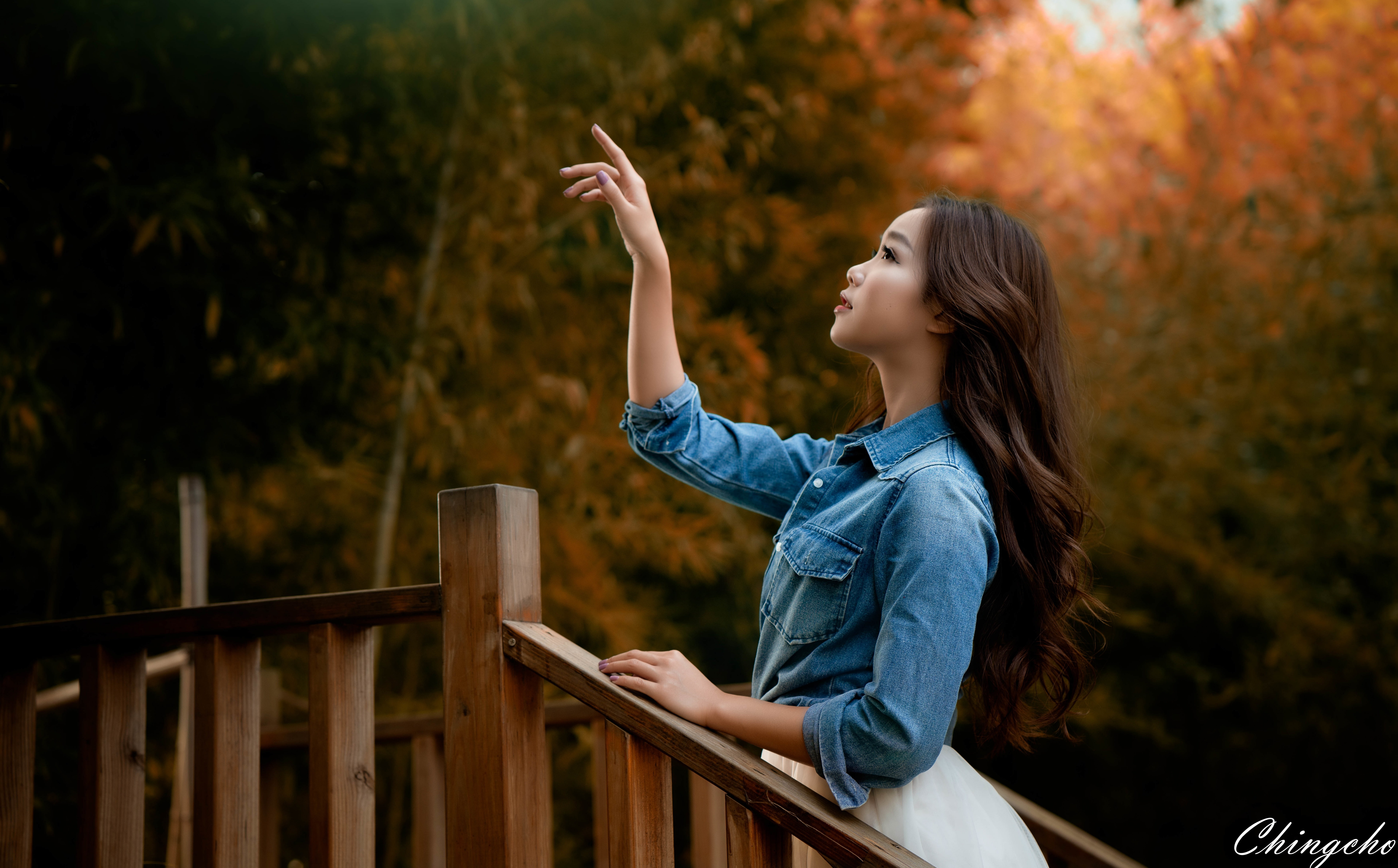 young adult, women, side view, tree, Fall, real people, change, focus on foreground, one person, young women, hairstyle, nature, standing, Shirt, human arm, HD Wallpaper
