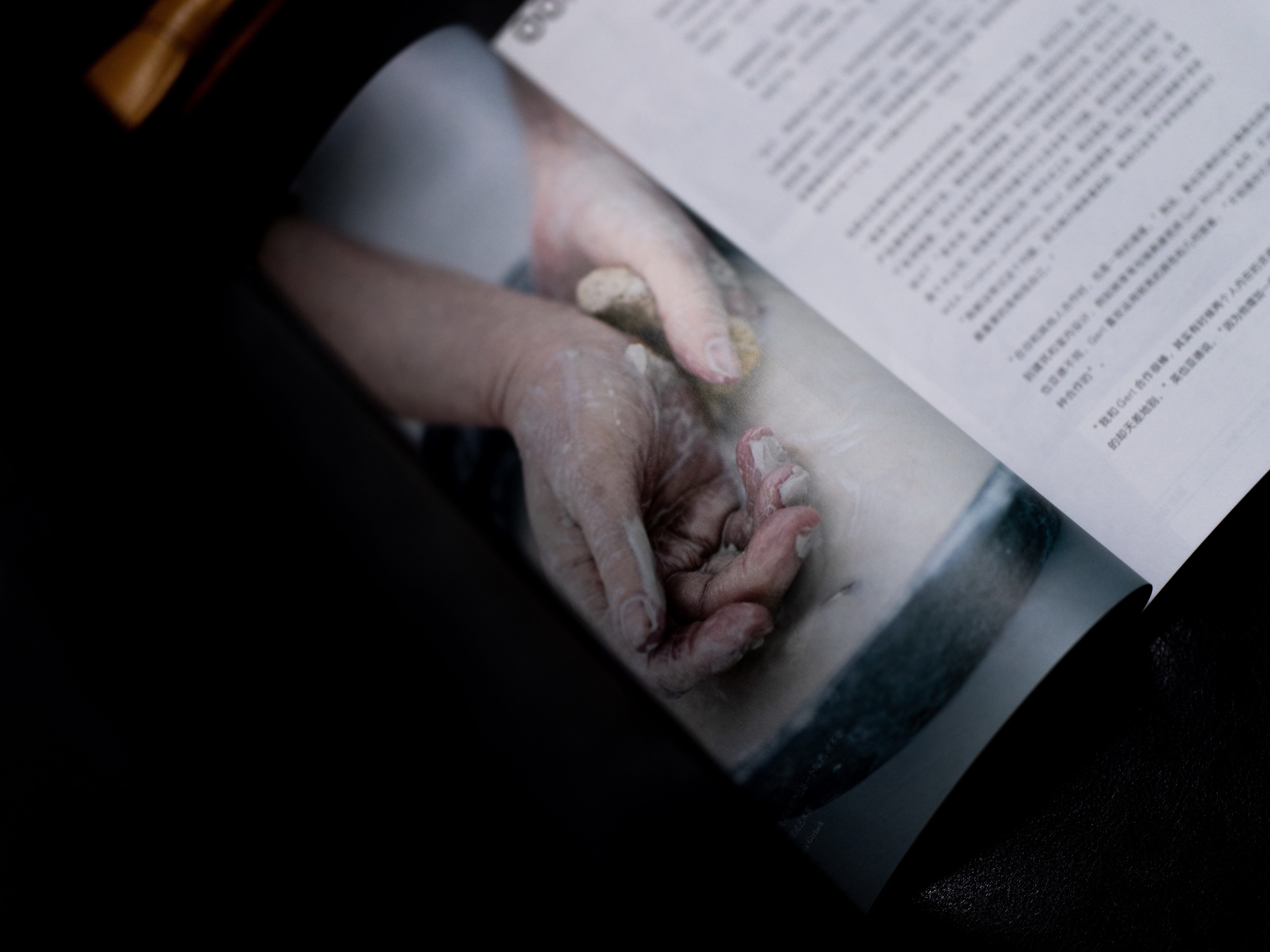 magazine, paper, one person, novel, poster, one animal, reading, holding hands, flyer, money, day, indoors, prayer, book, unrecognizable person, finger, HD Wallpaper
