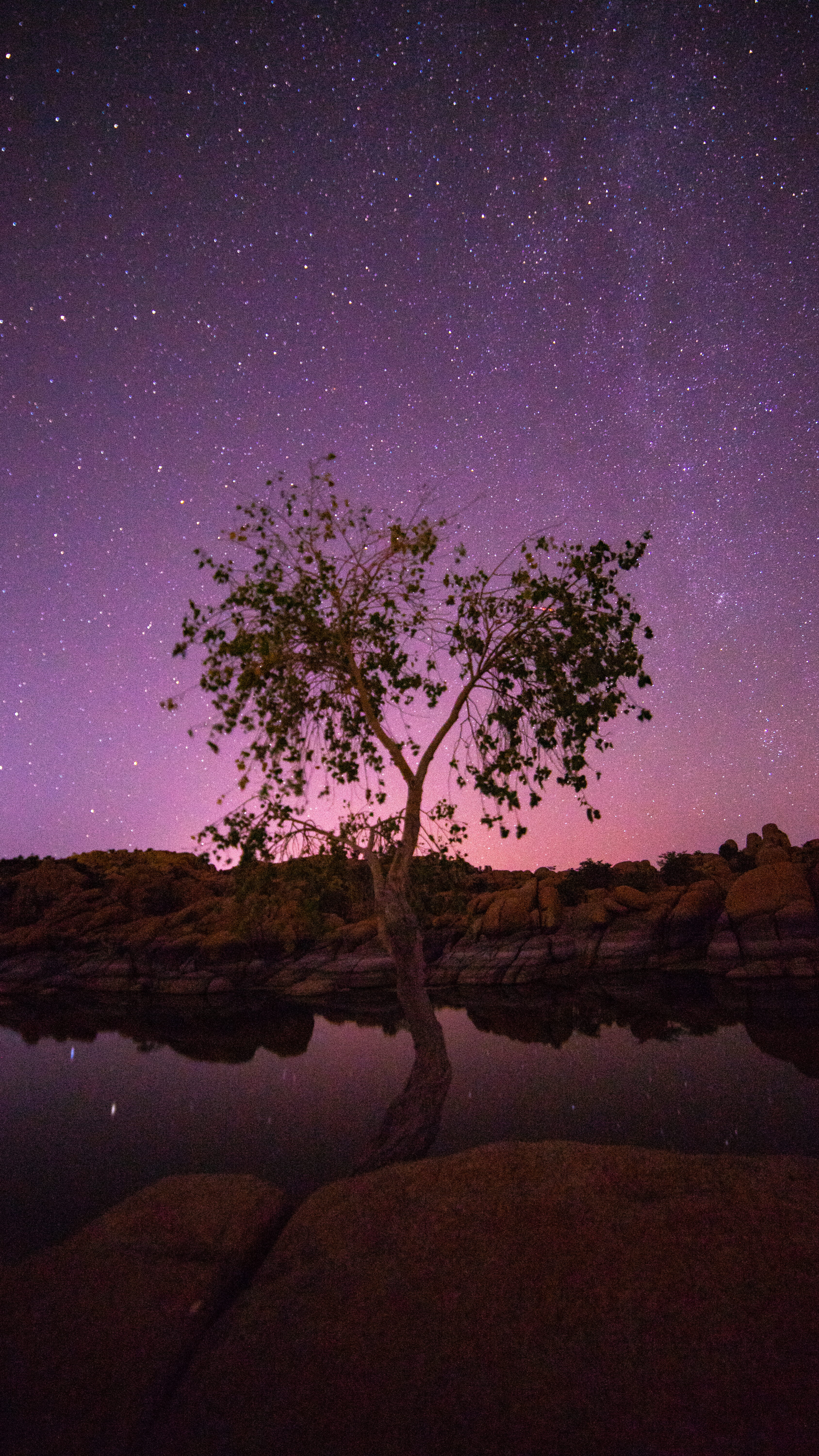 star, watson lake, galaxy, outdoors, wildlife, purple sky, night photography, meteor, blue, arizona, astronomy, water, light - Natural Phenomenon, star - Space, Phone HD Wallpaper
