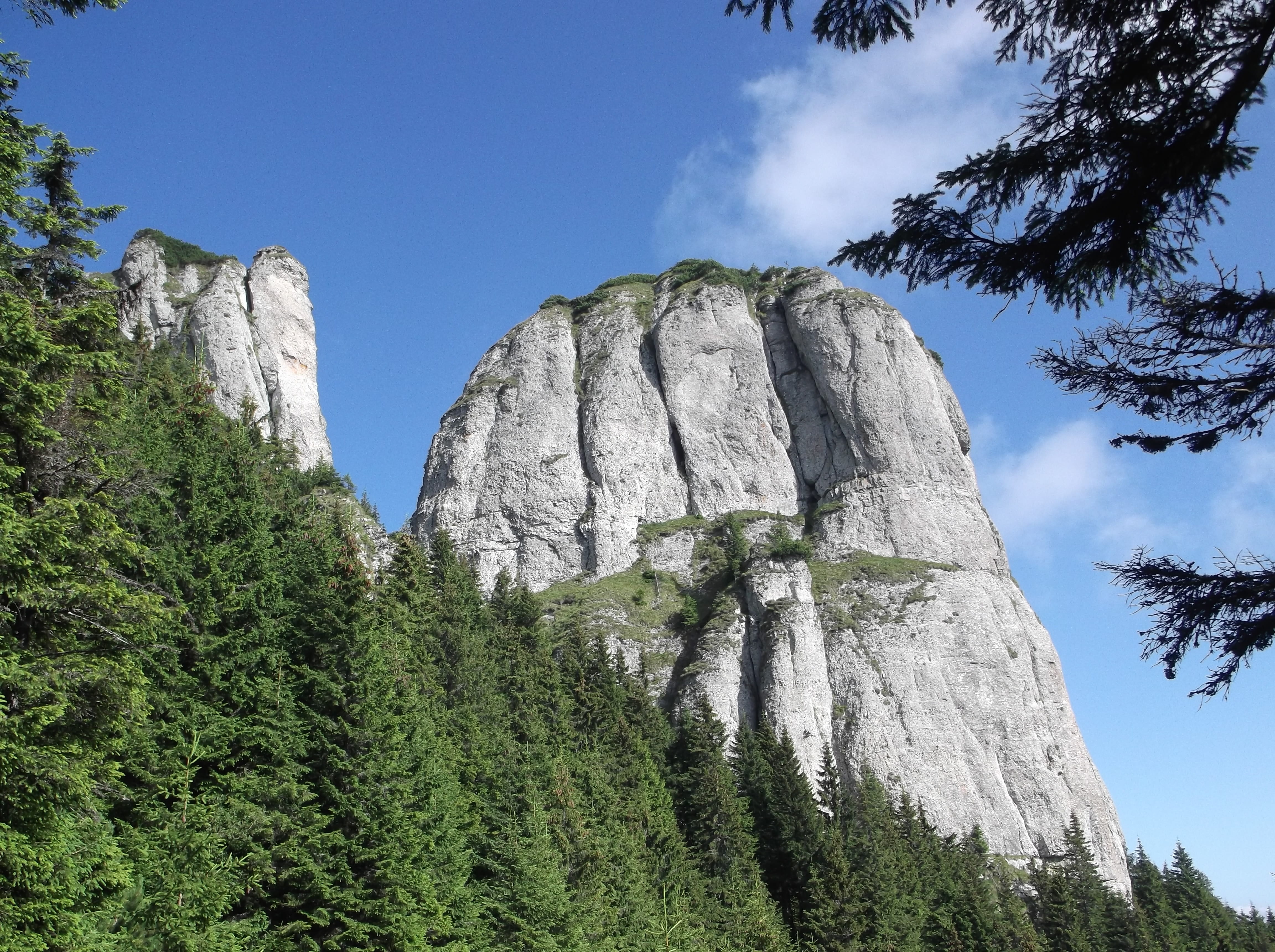romania, scenics - nature, trovant, day, sandstone, low angle view, mountain, landscape, low, attraction, solid, geology, famous, nature, 4K, pine tree, HD Wallpaper