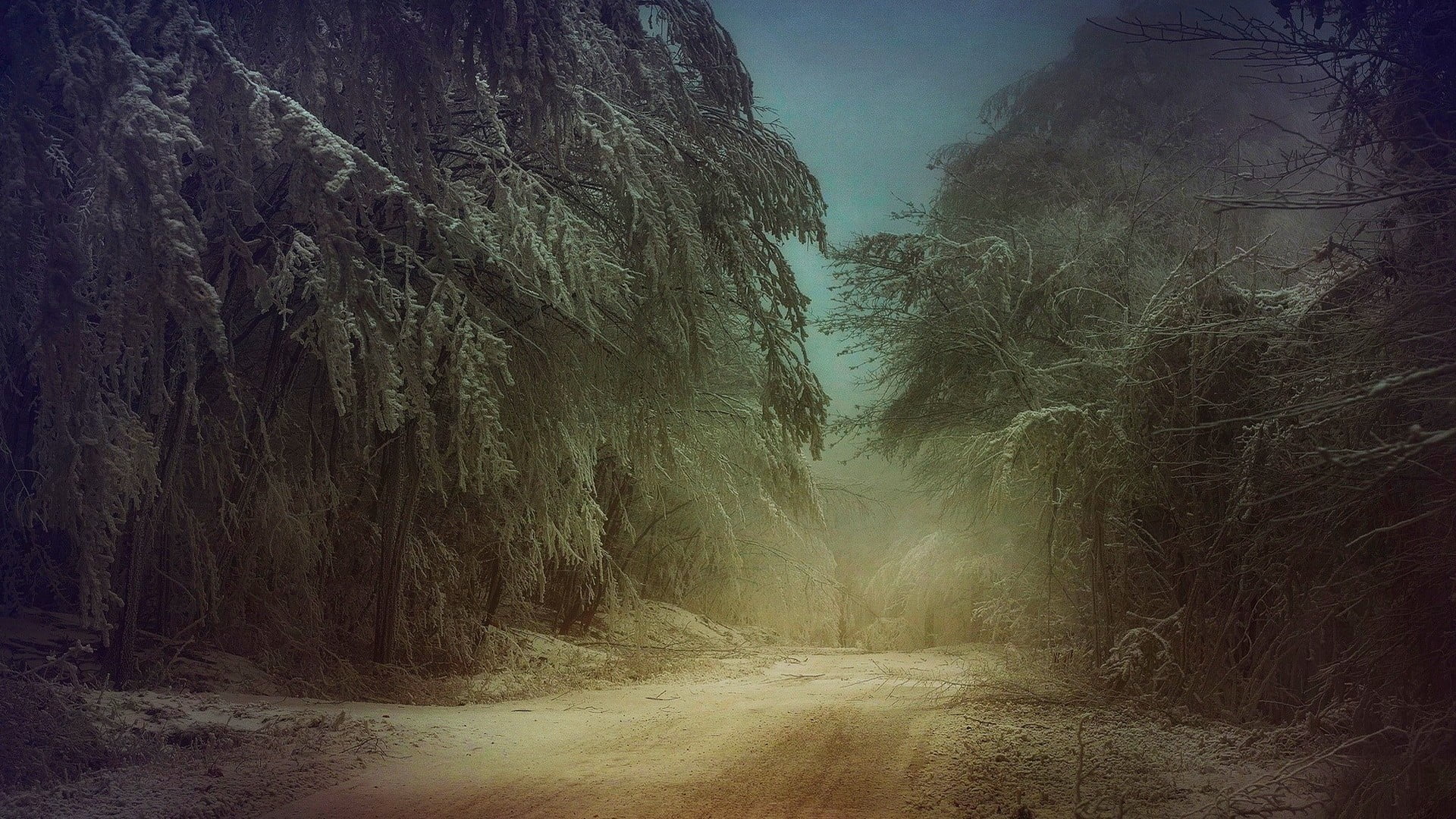 summer, tourism, geological formation, outdoor, wilderness, fog, no people, dirt road, trees, scene, hill, outdoors, canyon, transportation, vacation, slope, HD Wallpaper