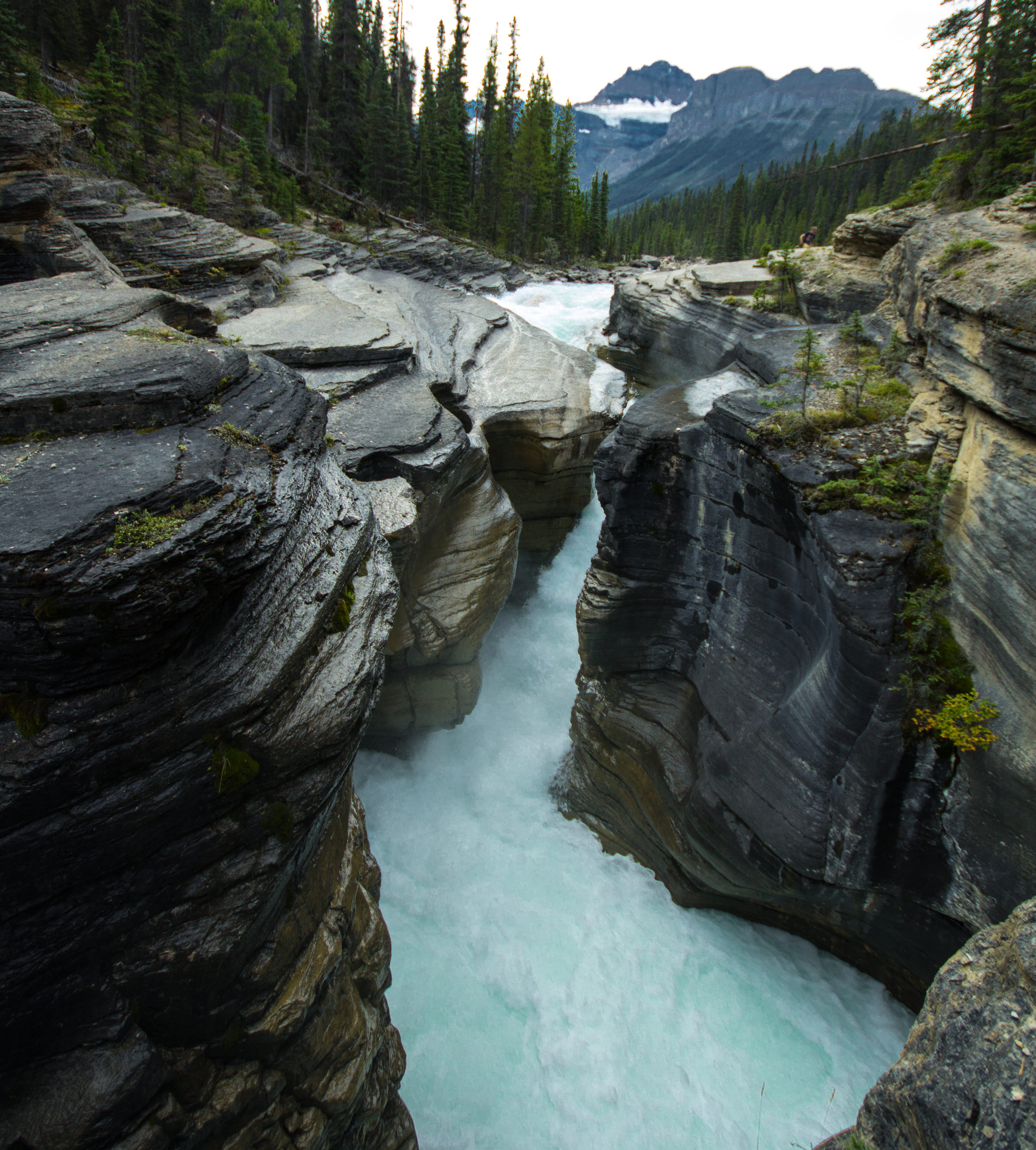 rock formation, rock - object, scenics - nature, environment, travel destinations, no people, motion, alberta, canyon, nature, mistaya canyon, beauty in nature, Phone HD Wallpaper