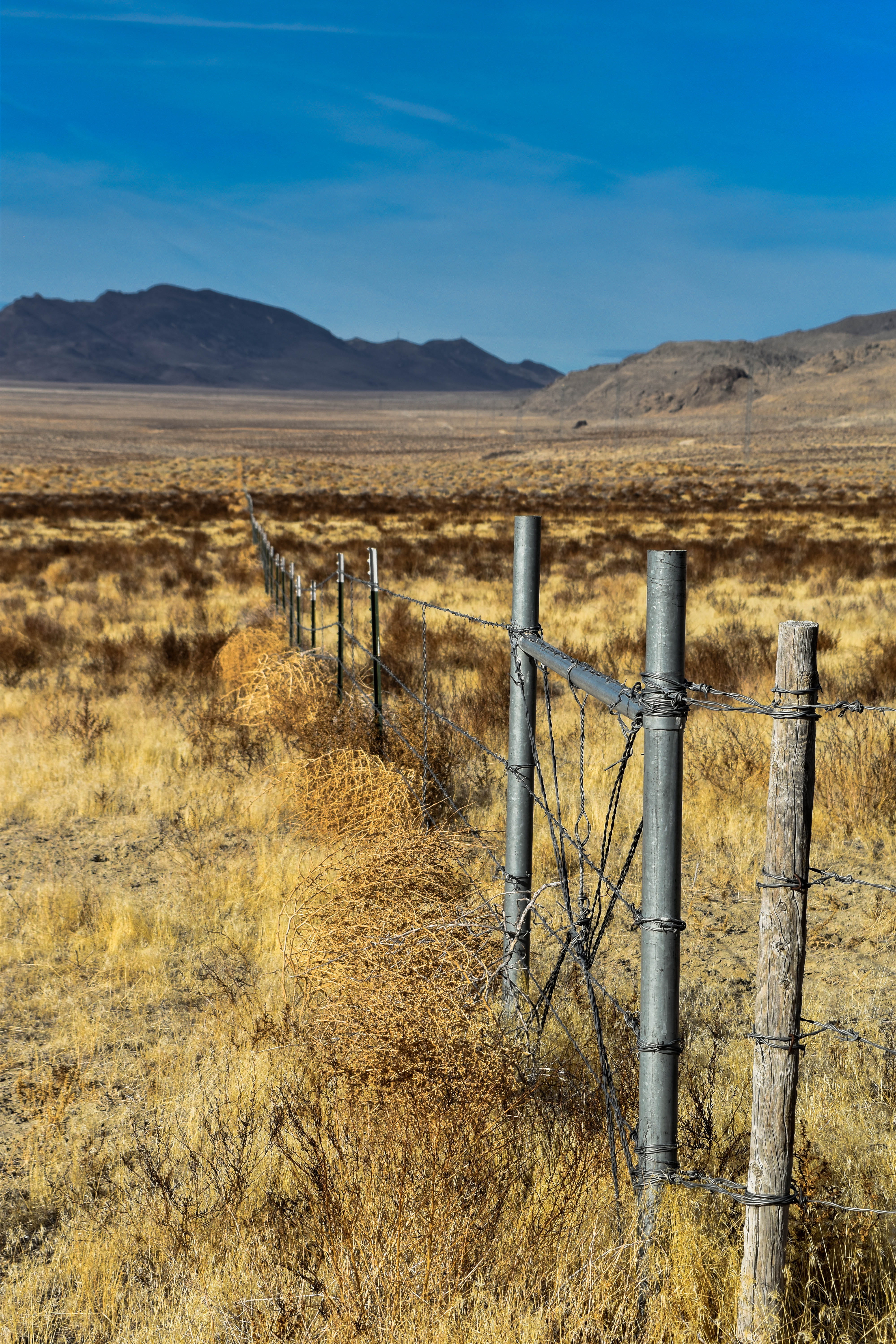 scenics - nature, land, environment, wooden post, nature, plant, united states, high desert, tranquility, sunlight, field, nikon, fenceline, travel, landscape, Phone HD Wallpaper