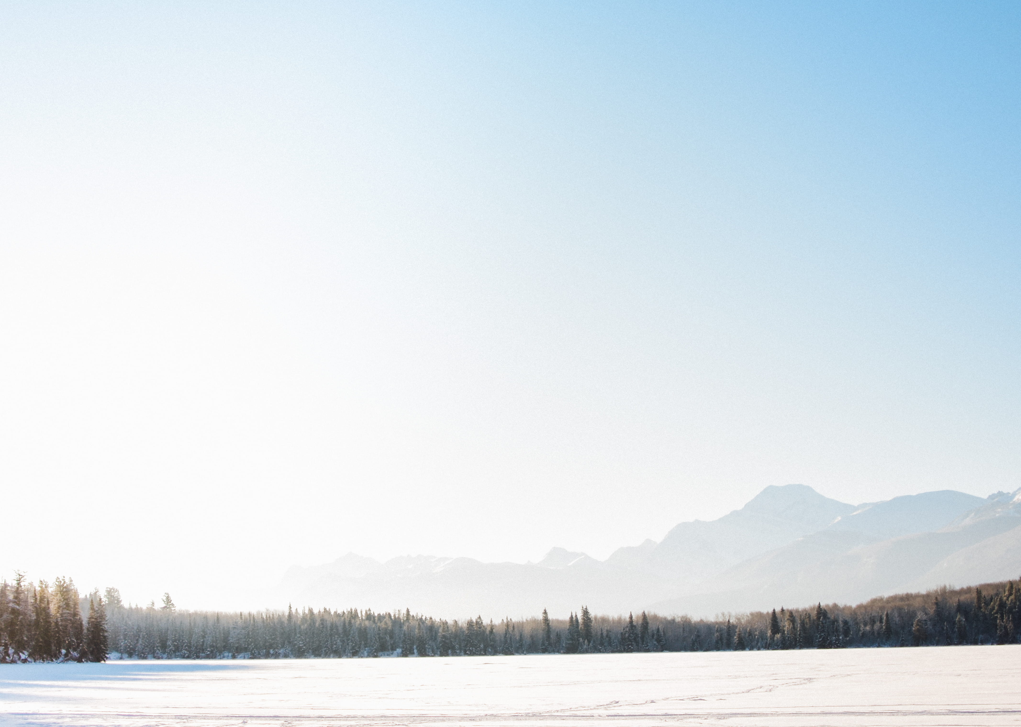no People, next, winter, mountain, tranquility, covered, outdoors, cold - Temperature, clear sky, field, snow, ground, plant, environment, tree, tranquil scene, HD Wallpaper