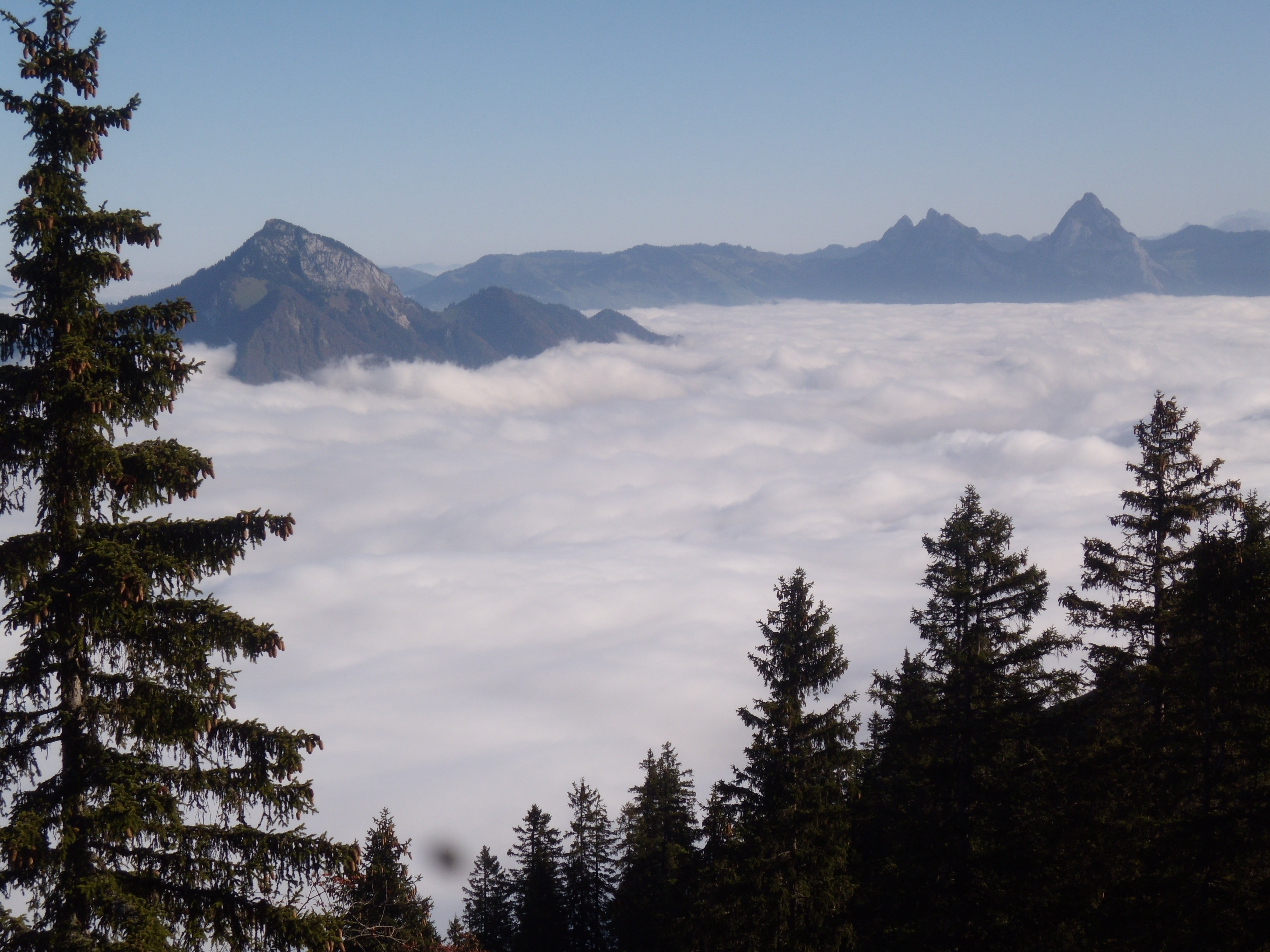 sky, myths, outdoors, mountain range, land, pine tree, klewenalp, lake lucerne region, forest, coniferous tree, 4K, nature, no people, sea of fog, great myths, HD Wallpaper