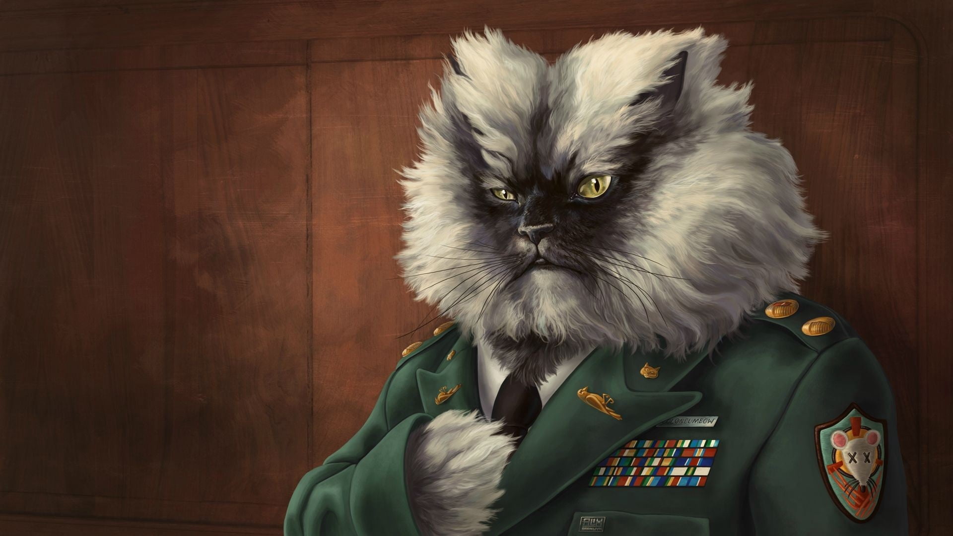 military, vertebrate, domestic Cat, paw, cat, epaulette, persian Cat, uniform, wearing, pets, whisker, looking, looking at camera, domestic, feline, one person, HD Wallpaper