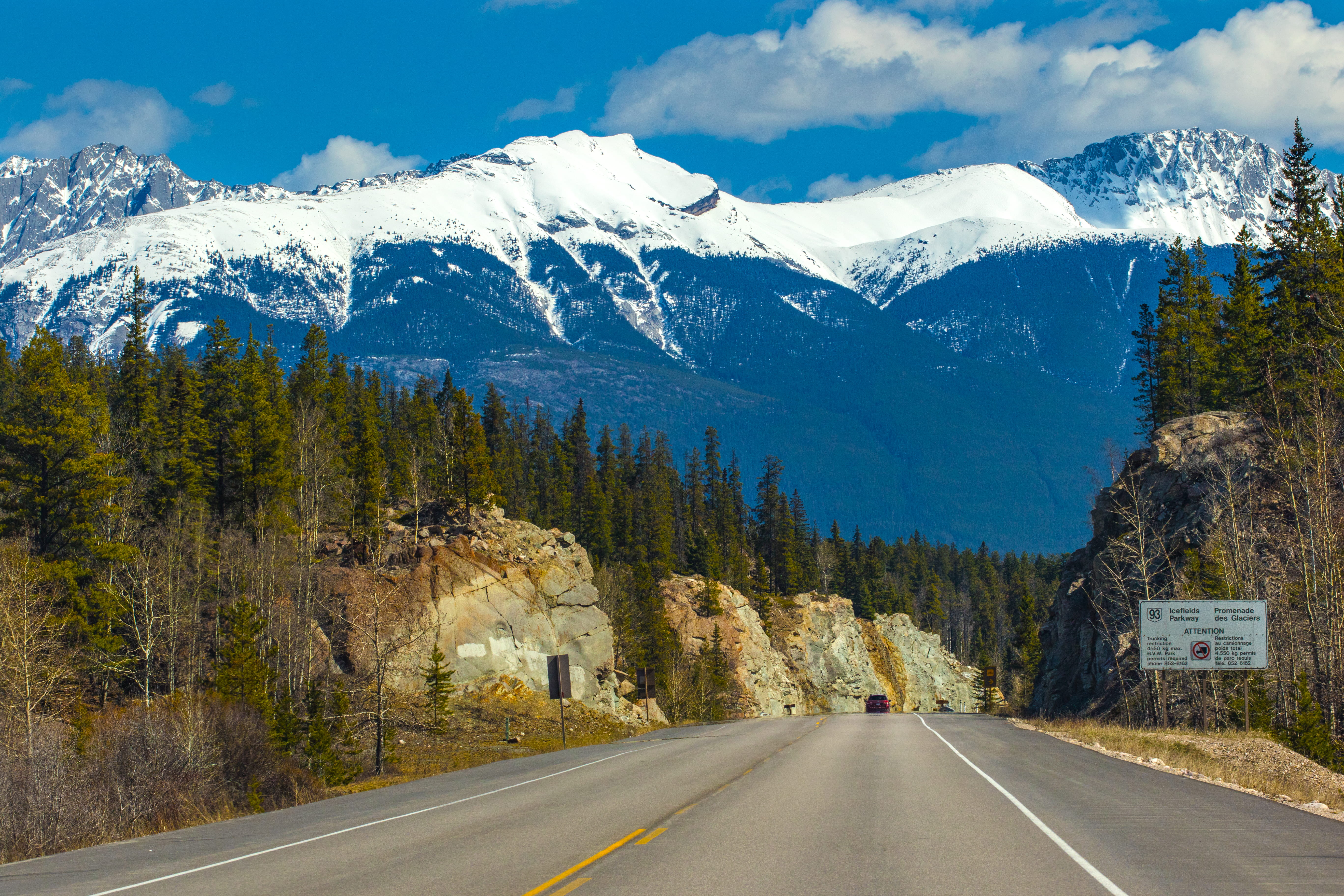 snow, jasper, daytime, trees, diminishing perspective, jasperguy, scenics - nature, flora, symbol, highway, ice, 5K, tree, yellowhead highway, beauty in nature, HD Wallpaper