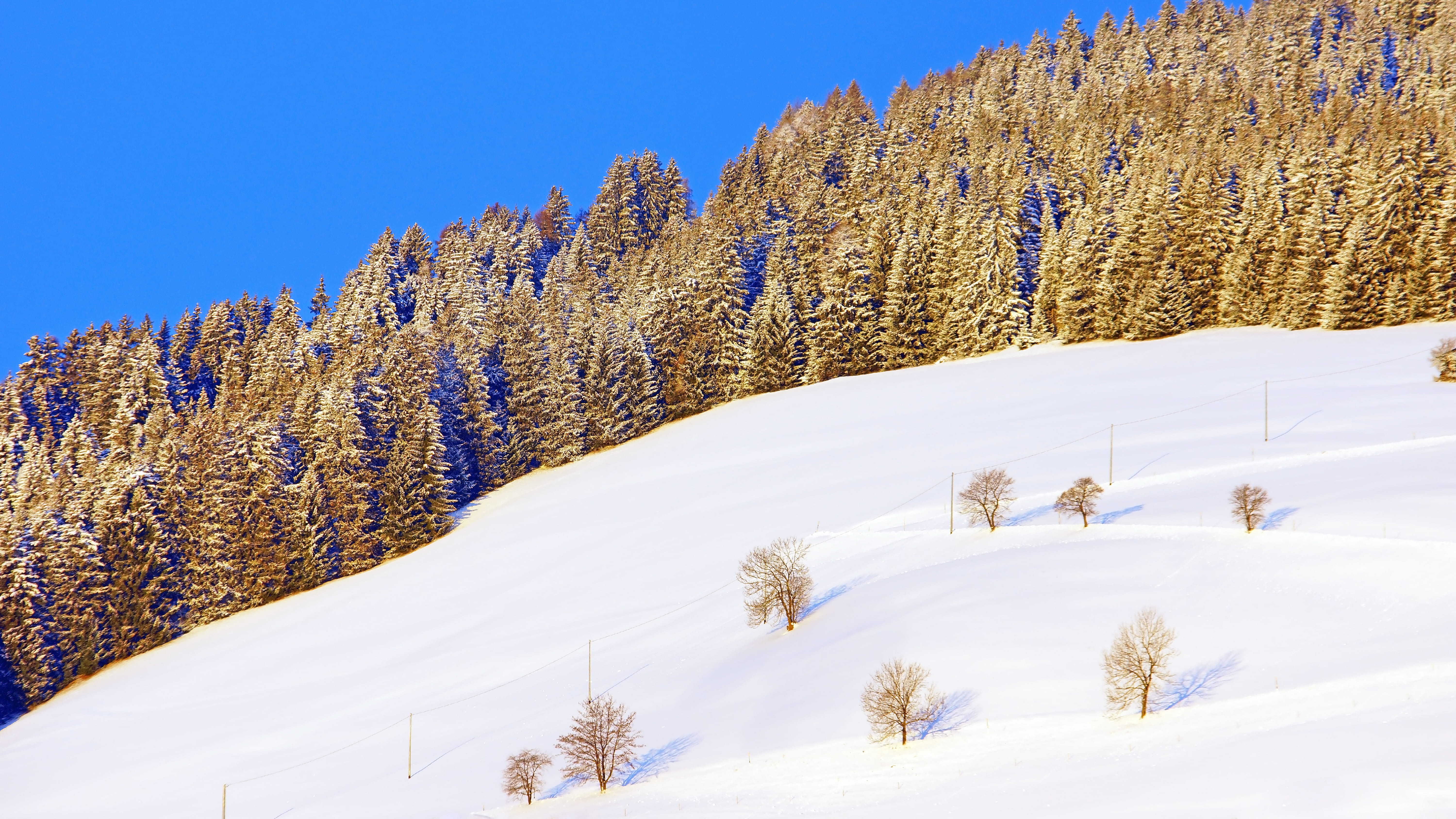 no people, snowcapped mountain, highway, conifer, way, cold temperature, mountain range, mountain, plateau, pine, covered, fir, sky, tree, tranquil scene, HD Wallpaper
