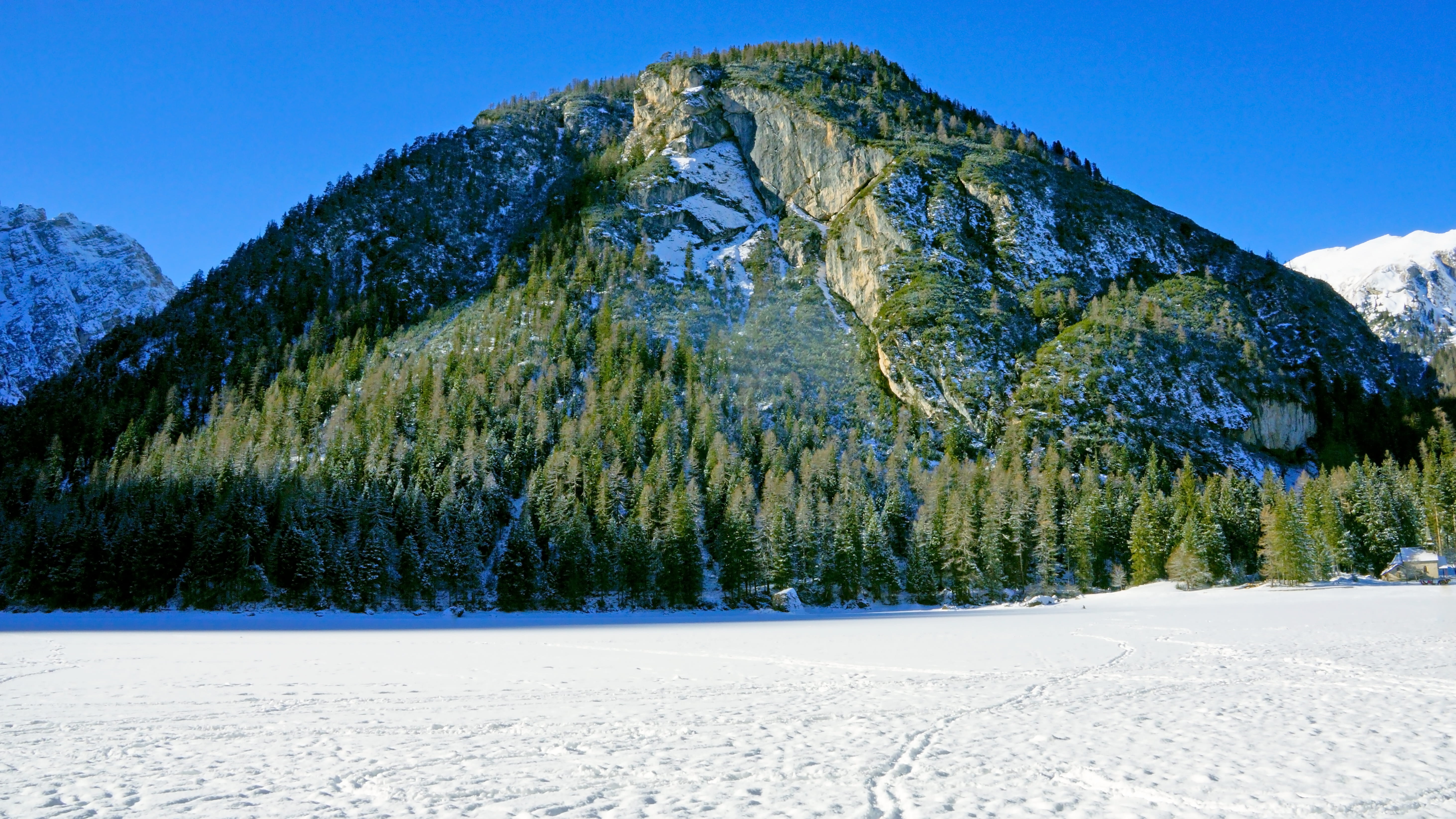 winter, mountain range, tranquility, no people, pine tree, pine, peak, environment, snow, way, beside, pine woodland, nature, trees, fir, scenics - nature, HD Wallpaper