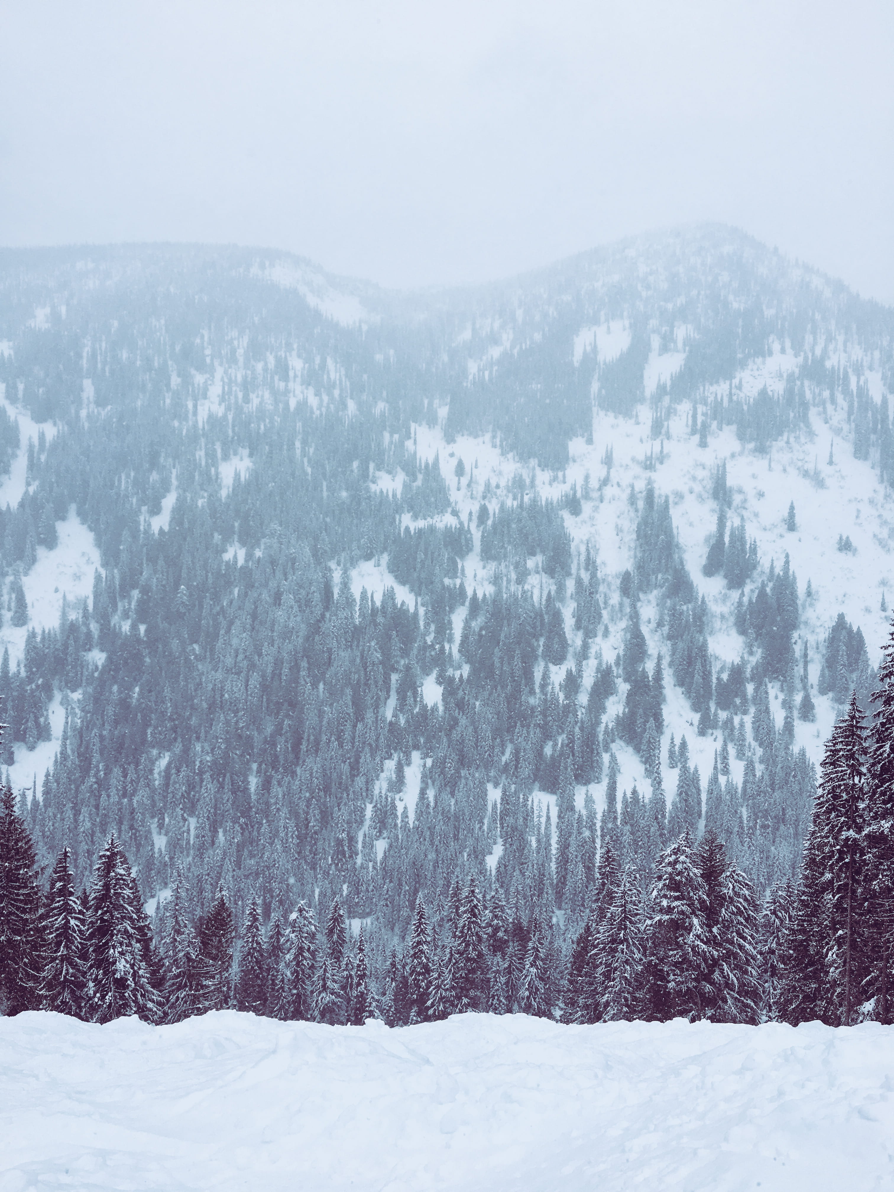 capped, snow, beauty in nature, environment, glacier, tranquility, no people, woodland, 4K, covering, plant, snowcapped mountain, avalanche, countryside, Phone HD Wallpaper