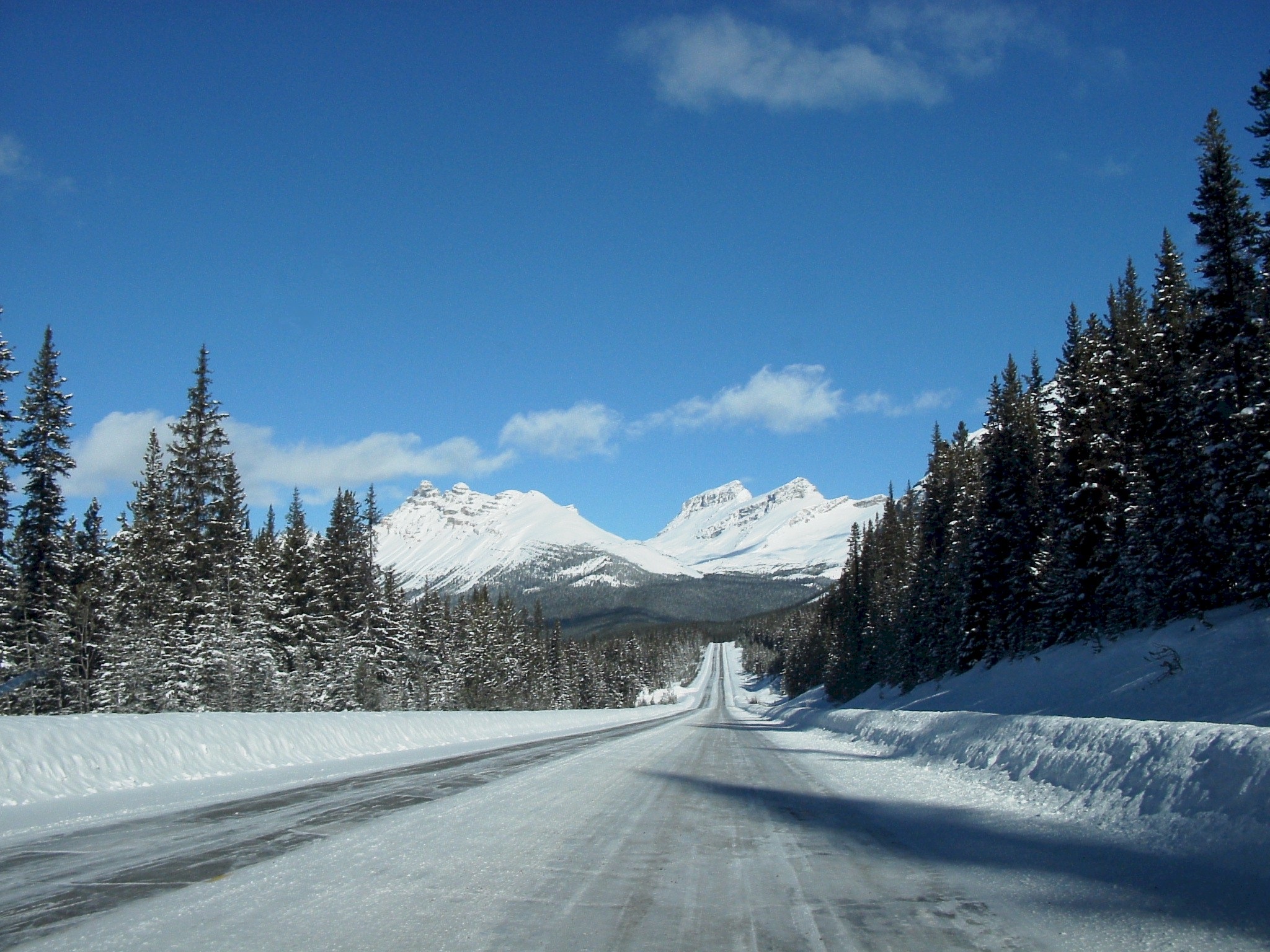 mountain range, icefields parkway, beauty in nature, canada, tranquility, transportation, non-urban scene, alberta, outdoor, day, pine tree, tourism, snow, HD Wallpaper