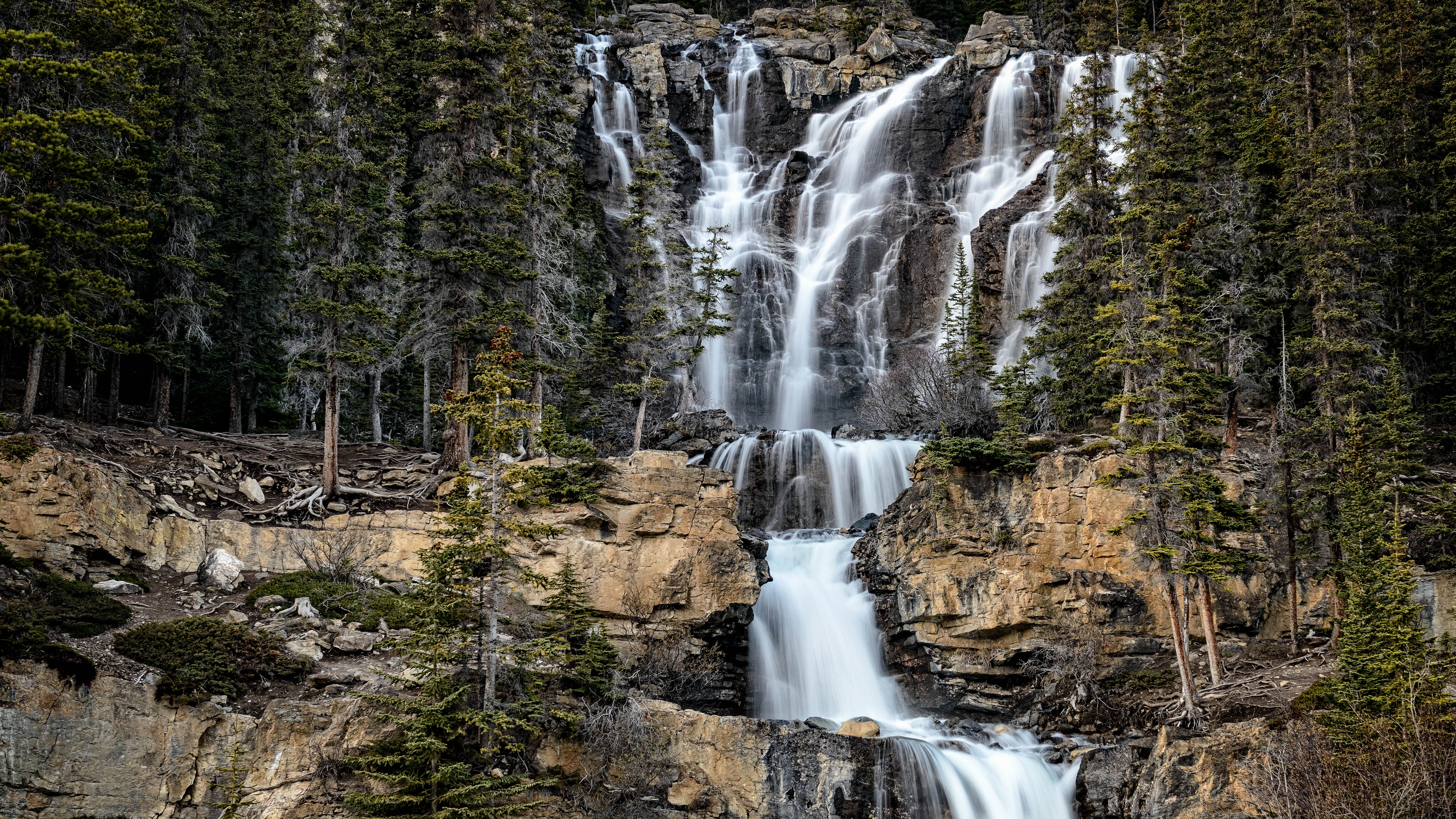 National Parks of Canada, scenics, Edit, Banff National Park, falls, forest, brown, river, freshness, Landscape, Alberta, Waterfalls, beauty In Nature, HD Wallpaper