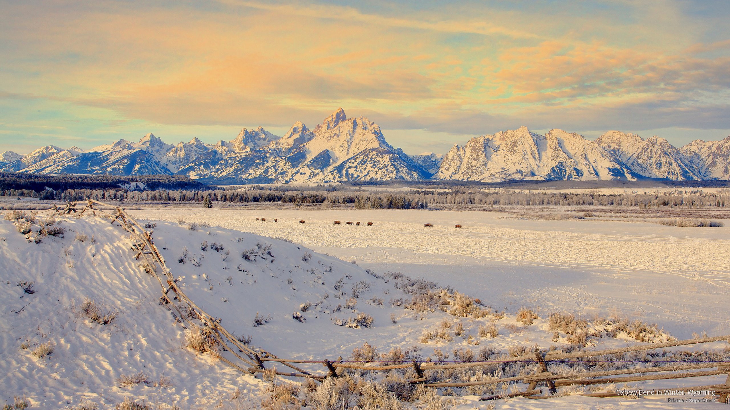 bend, oxbow, Winter, 2K, wyoming, HD Wallpaper