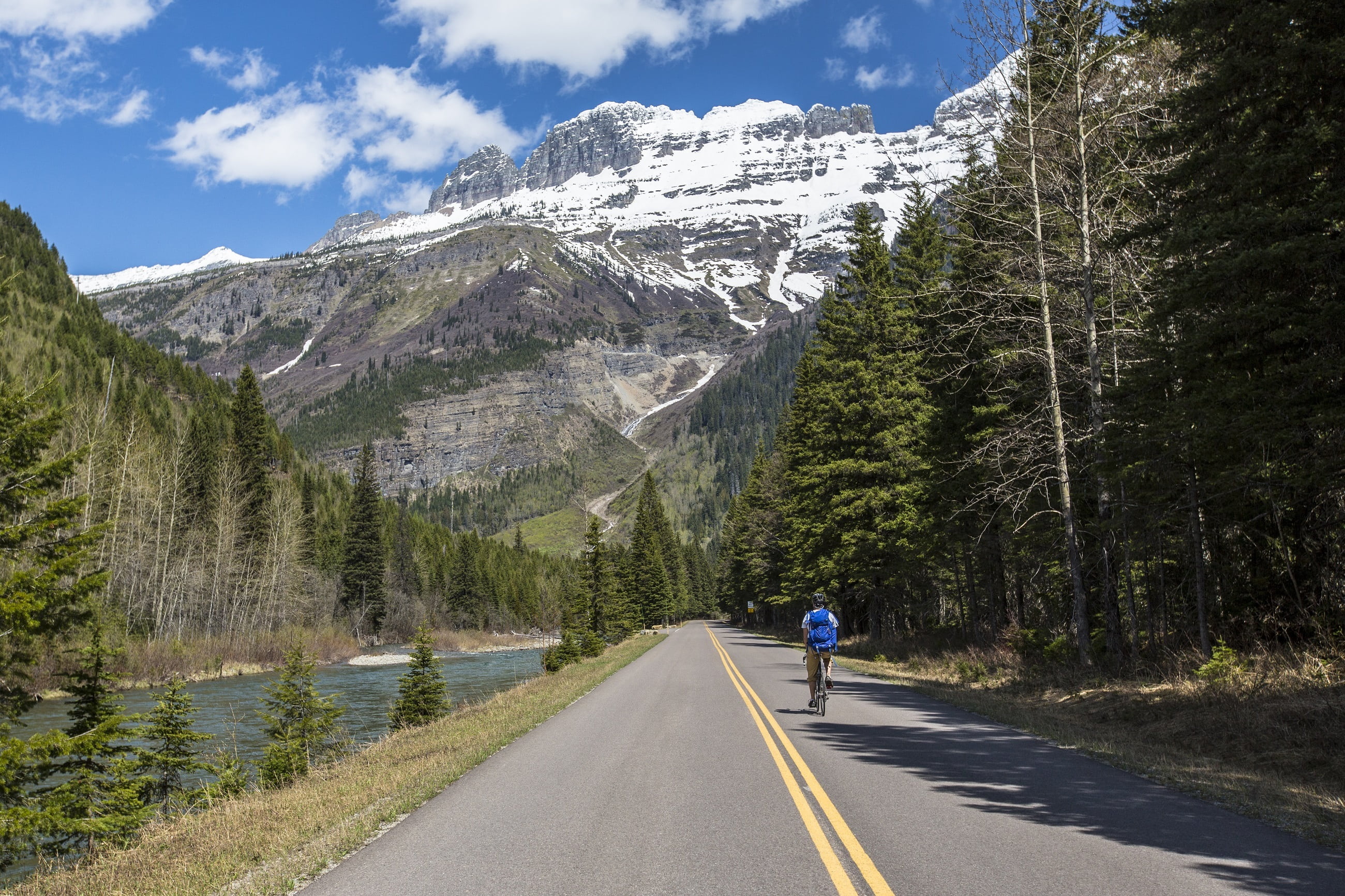 glacier national park, usa, plant, trees, scenic, formation, tree, snowcapped mountain, diminishing perspective, outdoors, mountain, creek lifestyle, rear view, HD Wallpaper