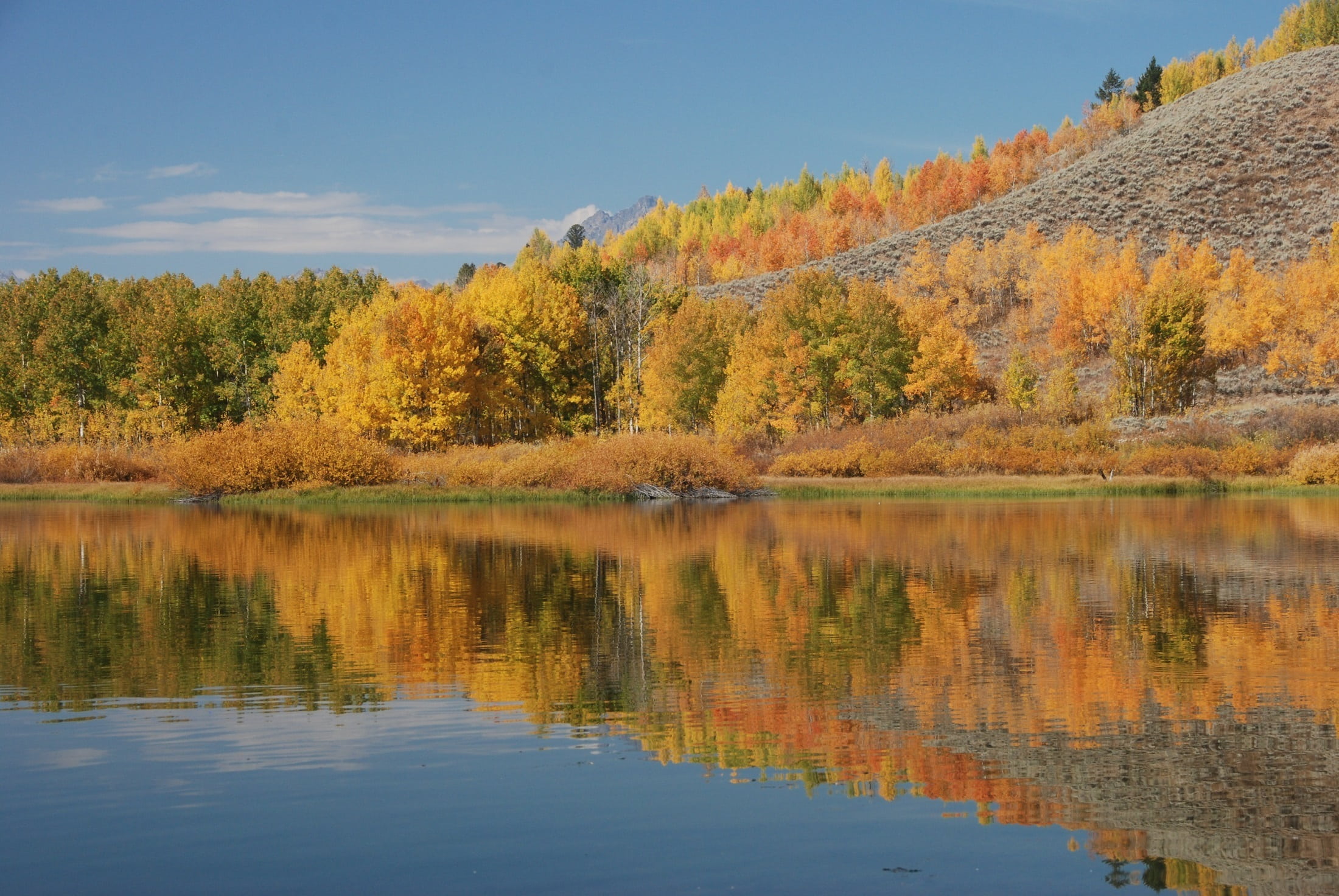 calm, tranquil scene, body, daytime, change, autumn, beauty in nature, reflection, landscape, idyllic, day, scenics - nature, tree, lake, outdoors, no people, HD Wallpaper