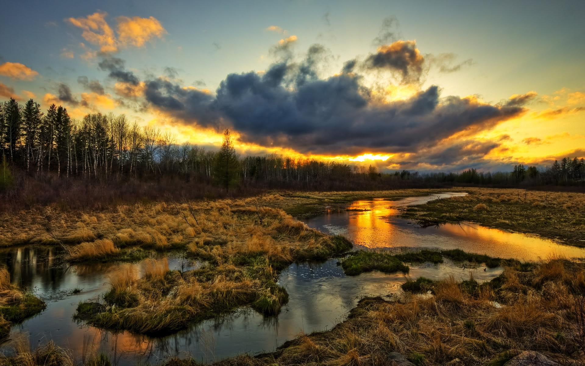 forest, creelk, 3d and abstract, river, 1080P, clouds, sunset, color, grass, marsh, stream, colorful, HD Wallpaper
