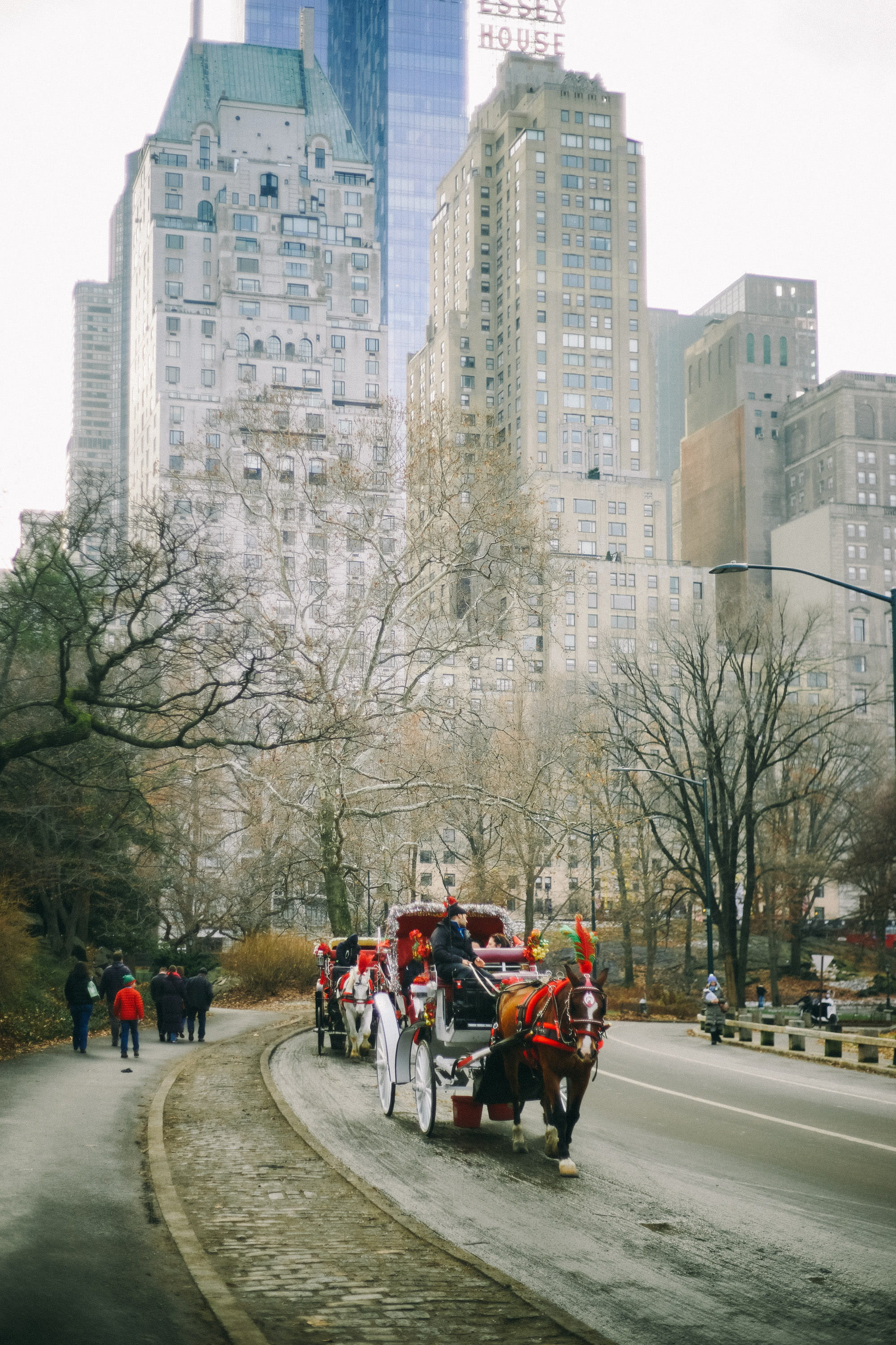 mode of transportation, group of people, domestic, mammal, built structure, building, city, 2K, domestic animals, united states, central park, architecture, Phone HD Wallpaper