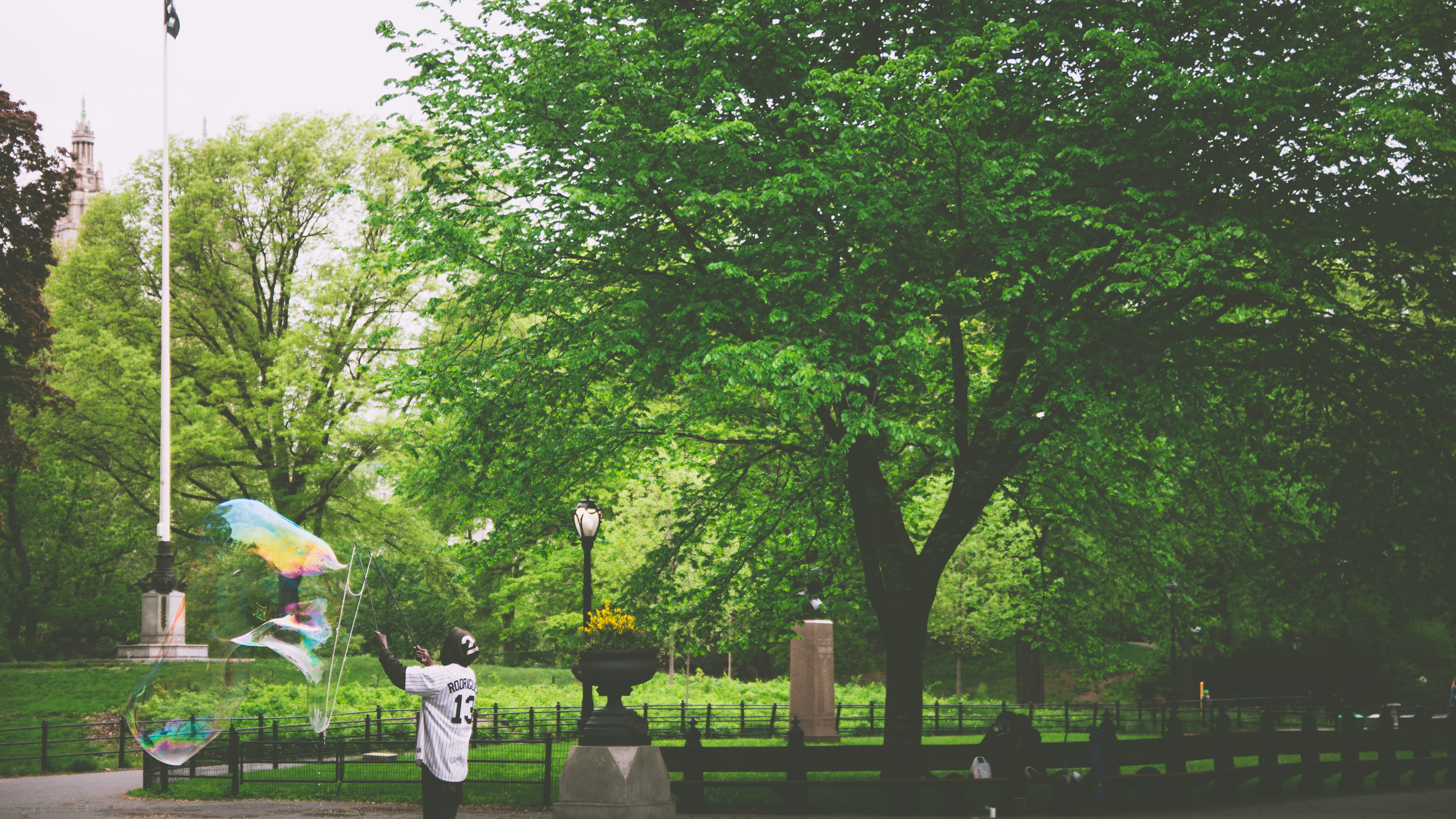 people, growth, man, green, plant, tree, trees, path, male likeness, day, fun, green color, leaves, central park south, art and craft, grass, new york, HD Wallpaper