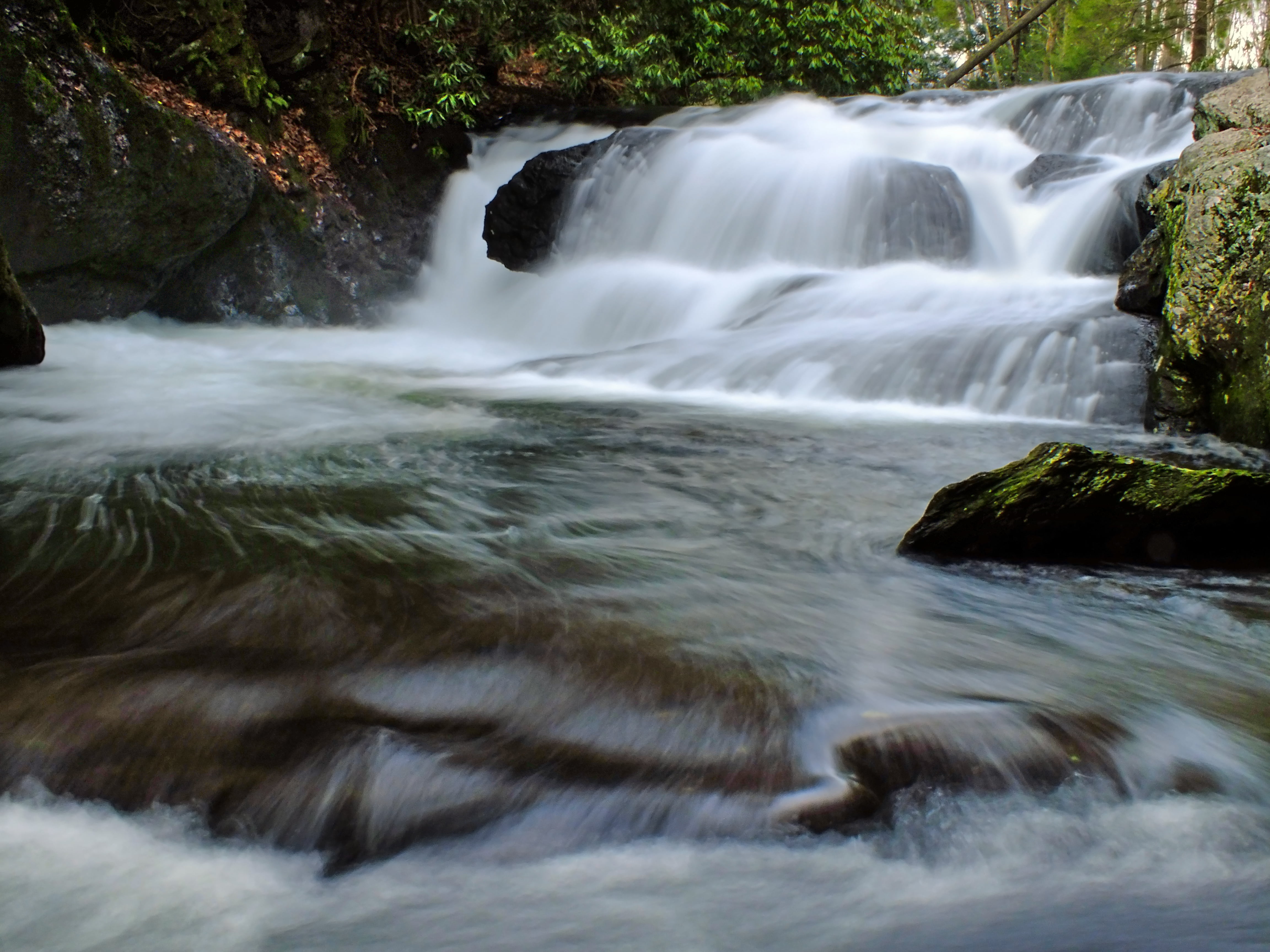 stream, scenics, 4K, nature, Poconos, Beltzville State Park, Creek, Carbon County, forest, Falls, waterfall, body, water, hiking, landscape, flowing Water, HD Wallpaper
