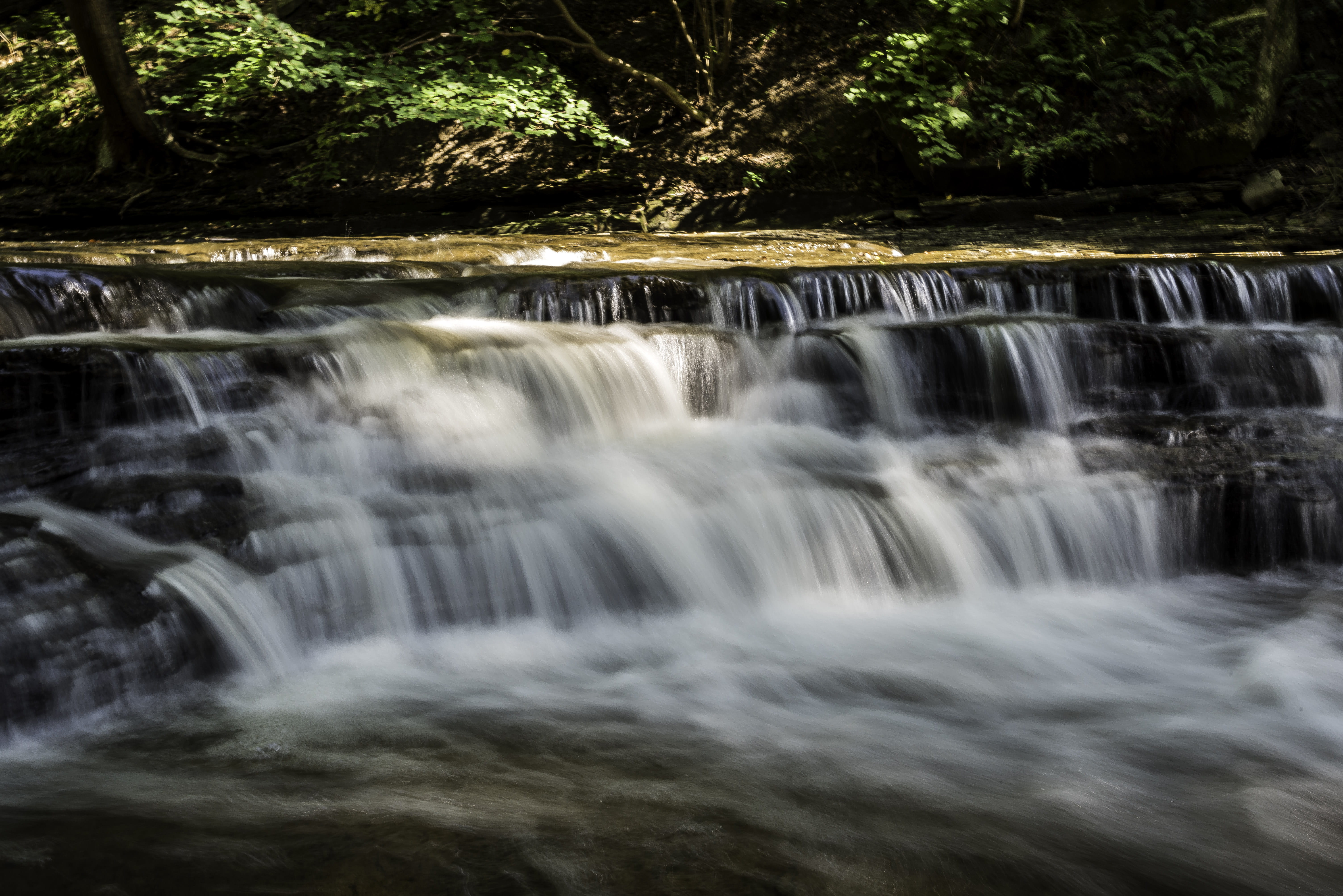 falling, flowing, water, cayuhoga river, view, photo, blurred motion, tree, nature, sport, cayuhoga, land, 5K, falling water, waterfalls, rapids, forest, HD Wallpaper