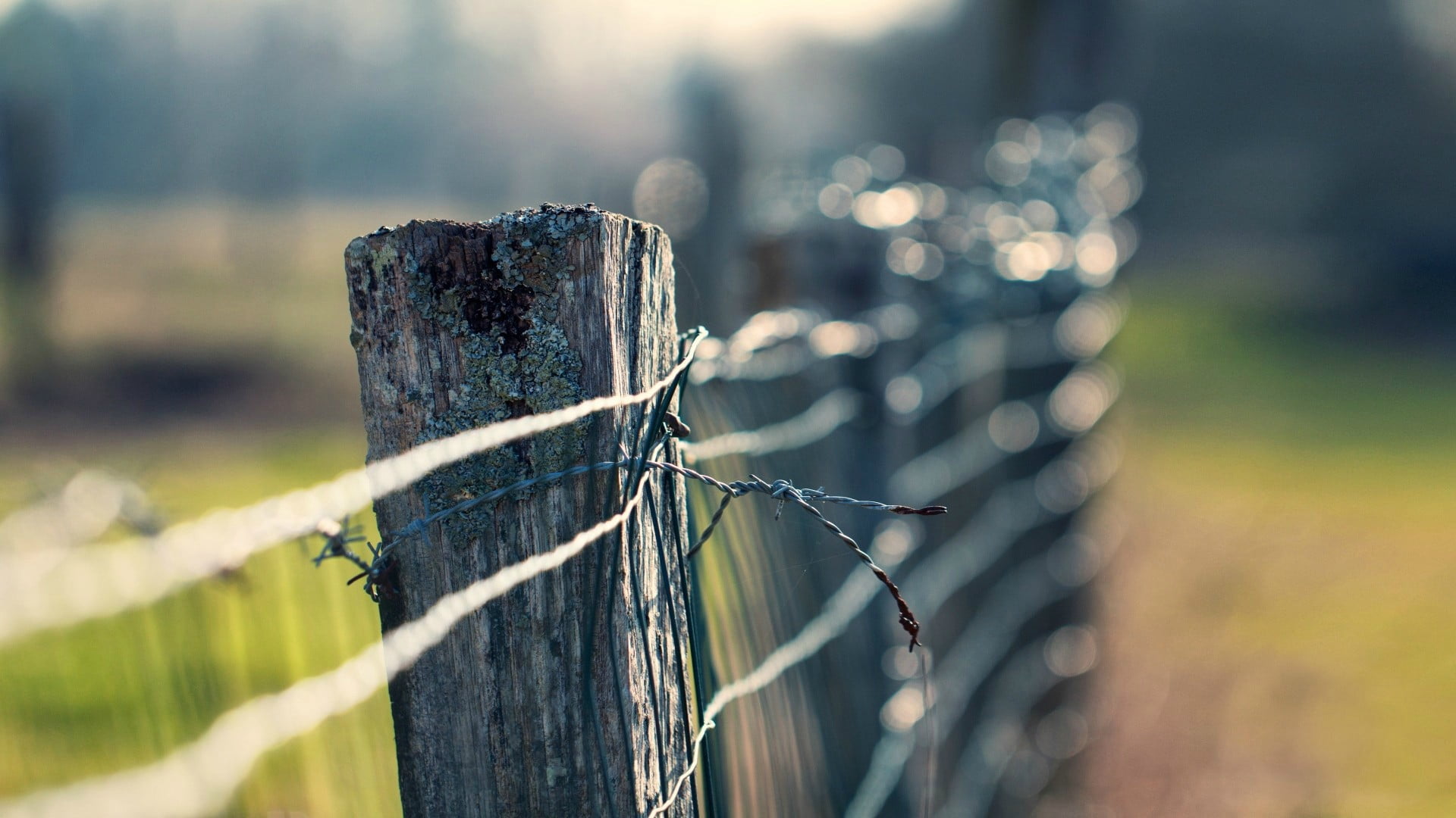 pattern, obstruction, protection, structure, focus on foreground, life, safety, chainlink fence, high, close-up, barbed wire, outdoors, post, sky, selective focus, HD Wallpaper