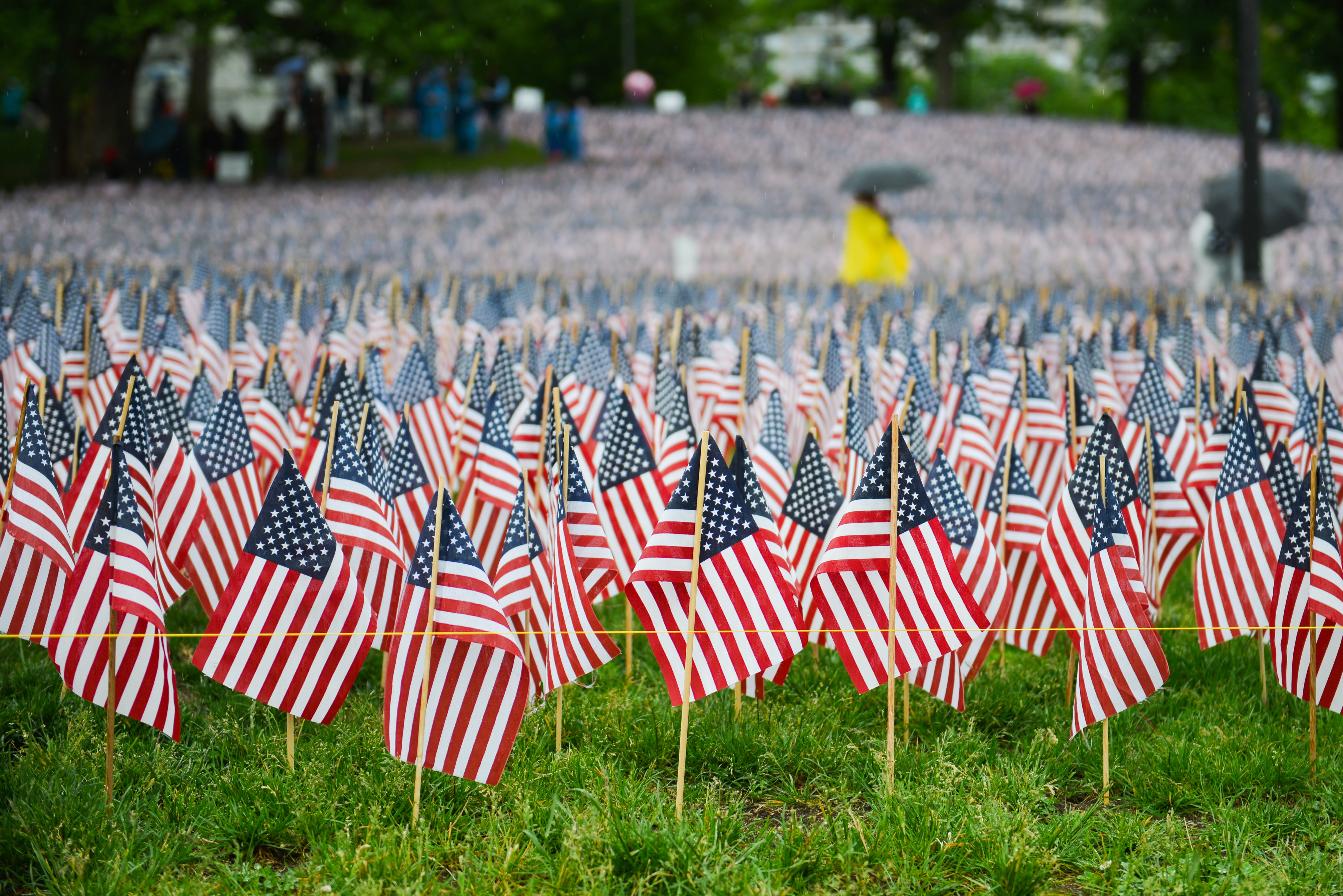 gift, america, grass, outdoors, yellow, grave, party, flower, 5K, government, lot, no people, memorial, united states, day, mechanism, ornament, cemetery, HD Wallpaper